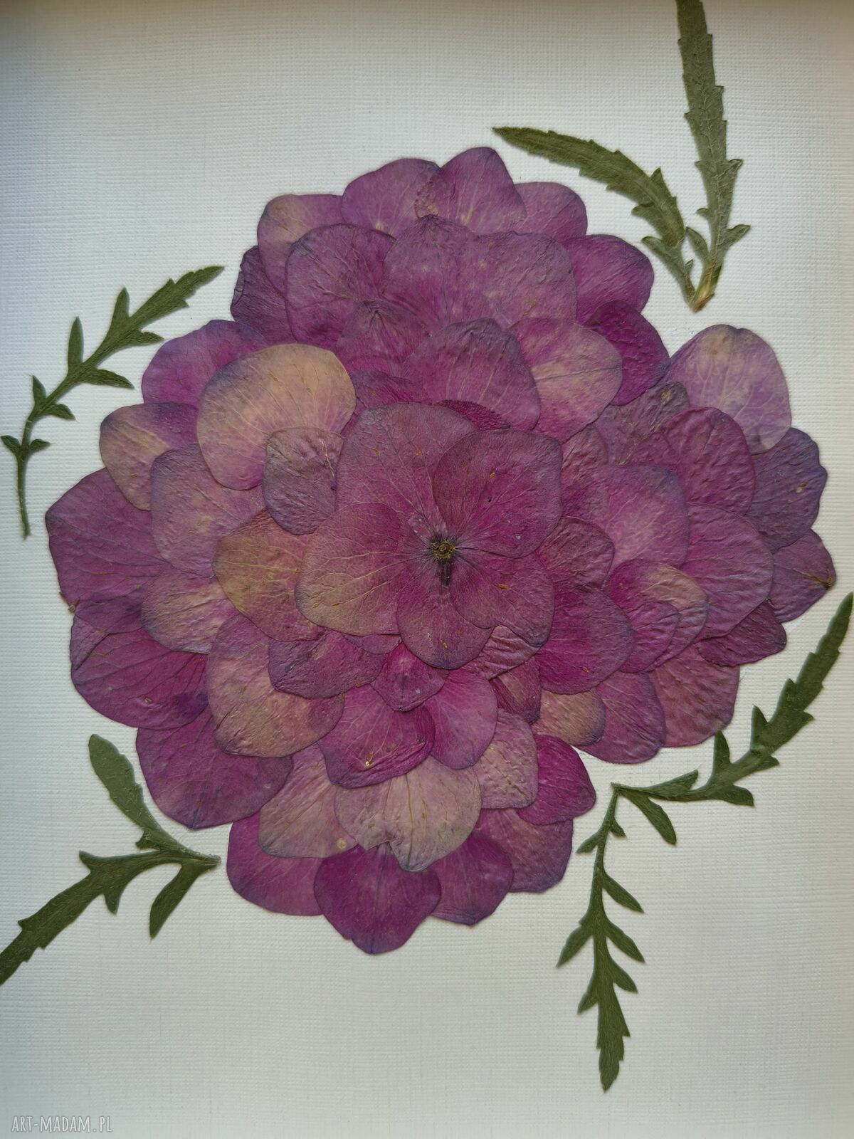 Hortensja z suszonych płatków 21 x 30 cm - ręcznie wykonany obraz botaniczny