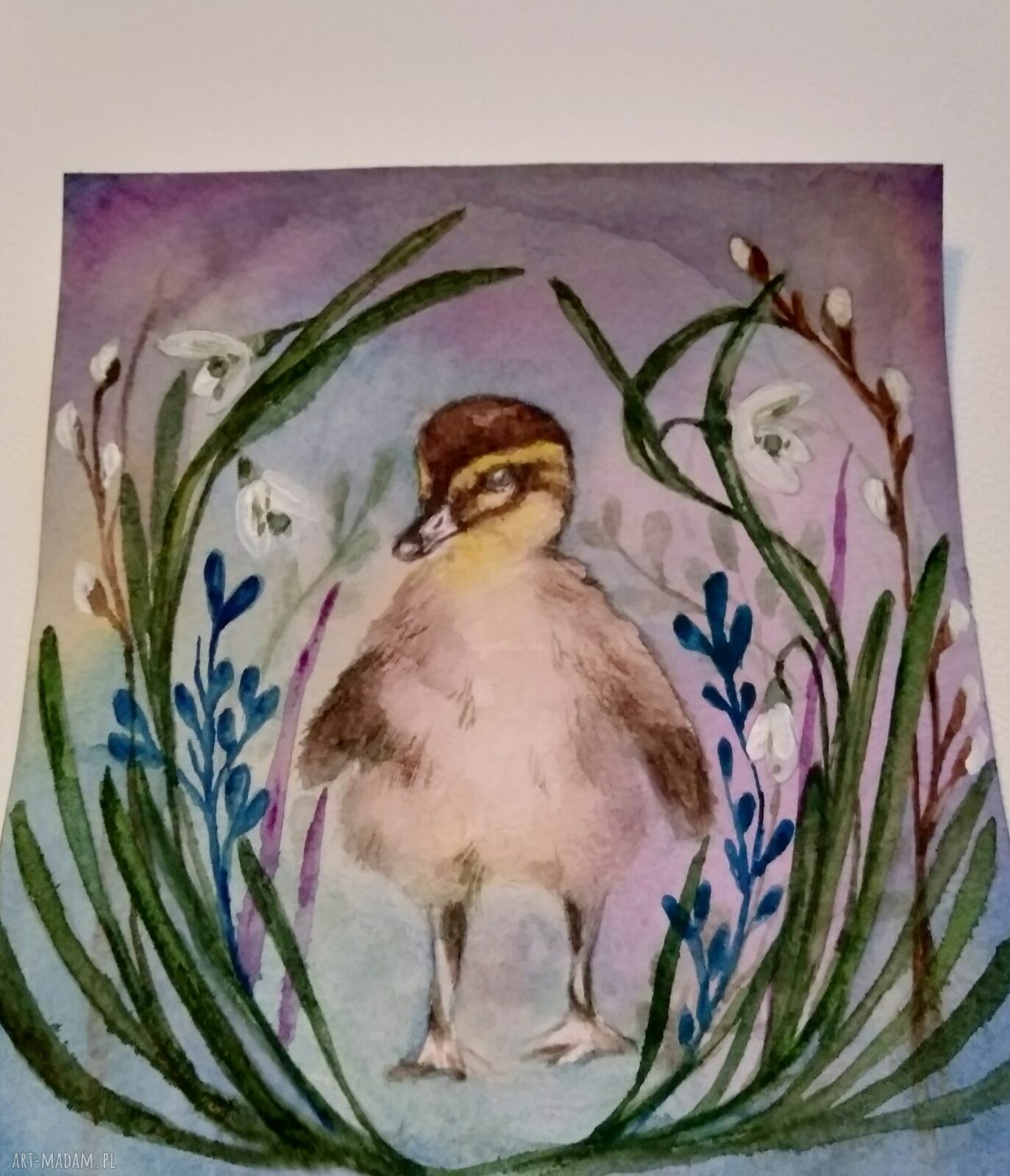 Wielkanocna akwarela: mała kaczuszka - ilustracja 15x15 cm