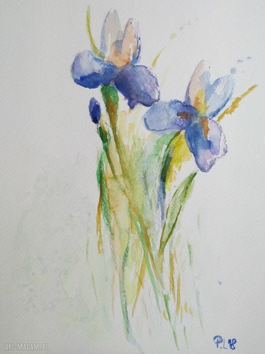 Irysy - akwarela 18x24 cm na papierze 300 g/m2 (ręcznie malowana)