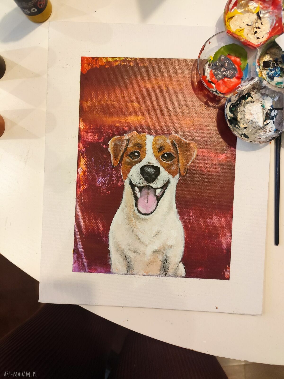 Obraz Jack Russell w złotej ramie 30x40 cm