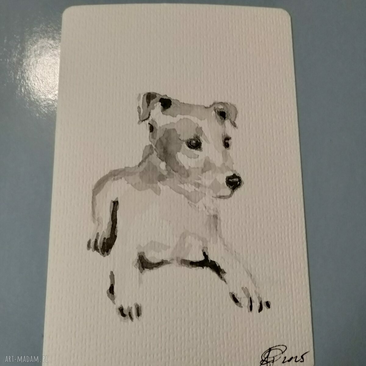 Akwarela Jack Russell terrier - ręcznie malowana grafika 10x15 cm