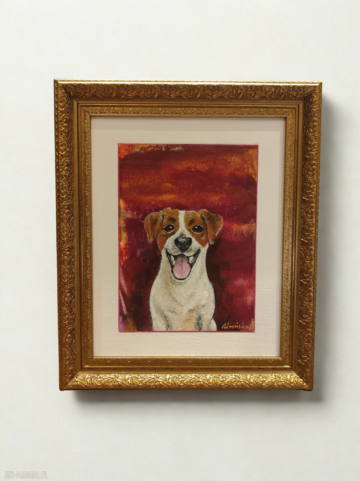 Obraz Jack Russell w złotej ramie 30x40 cm