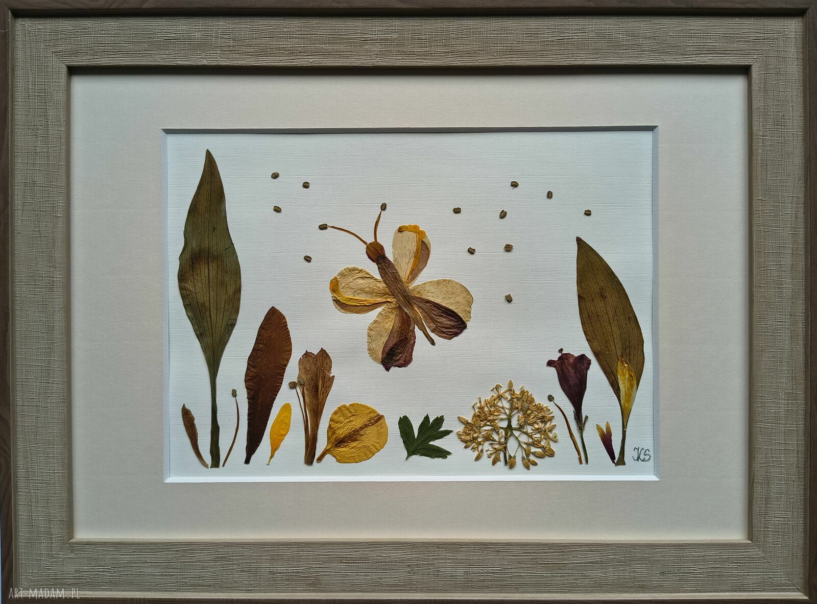 Jesienny motyl - ręcznie wykonany obraz botaniczny z suszonych kwiatów 25x35 cm