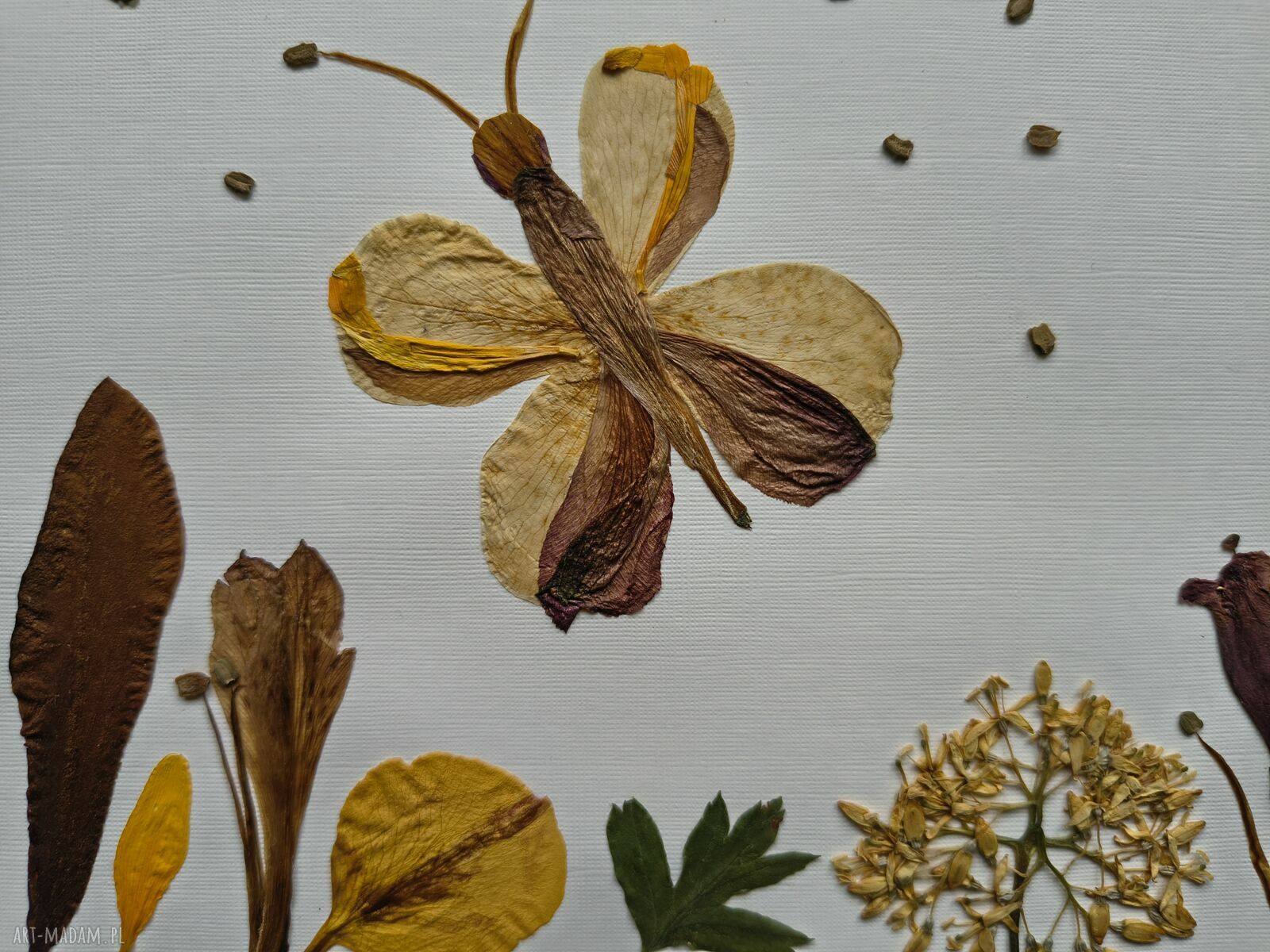 Jesienny motyl - ręcznie wykonany obraz botaniczny z suszonych kwiatów 25x35 cm