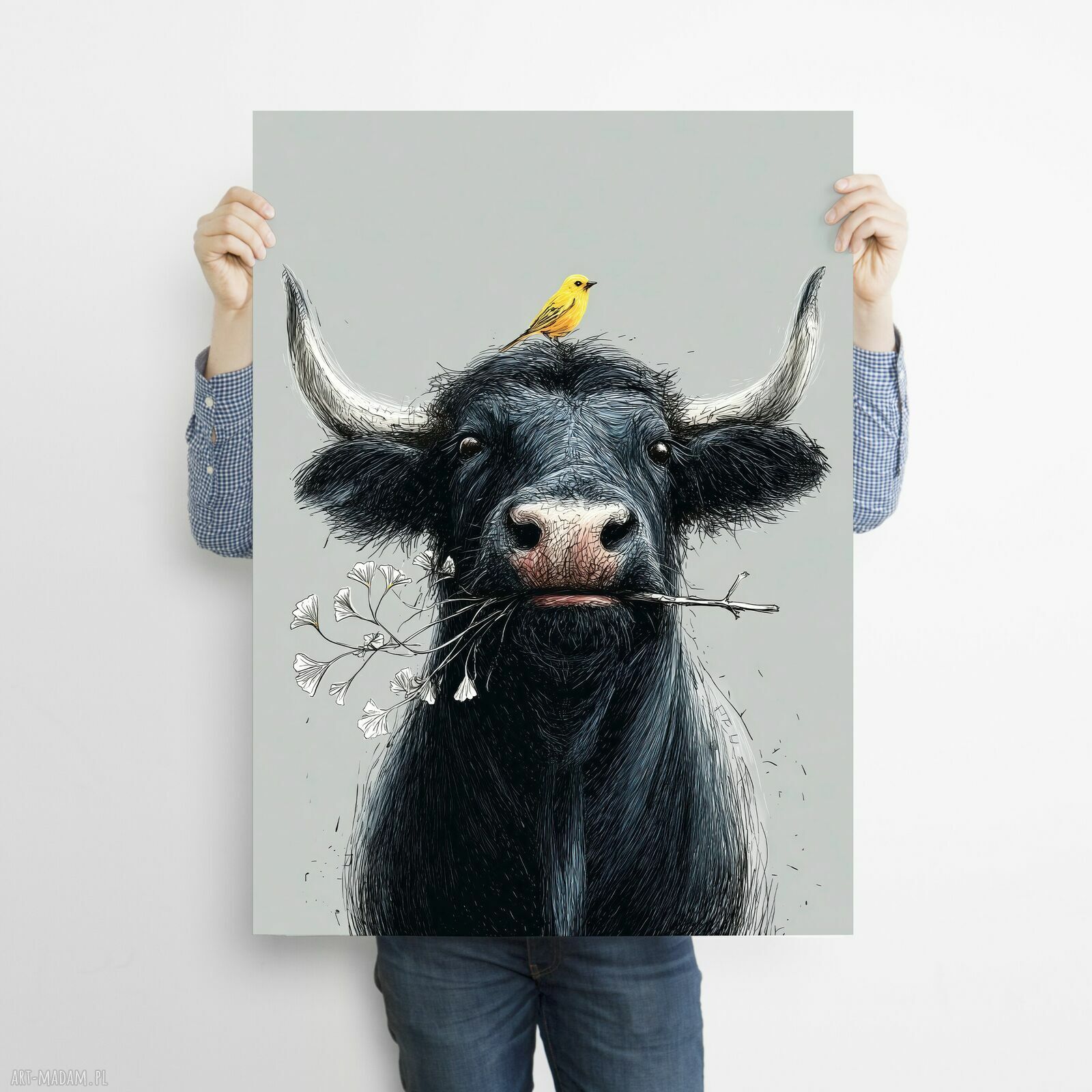 Kanarek - grafika na plakacie A3 (29,7 x 42 cm) bez ramki