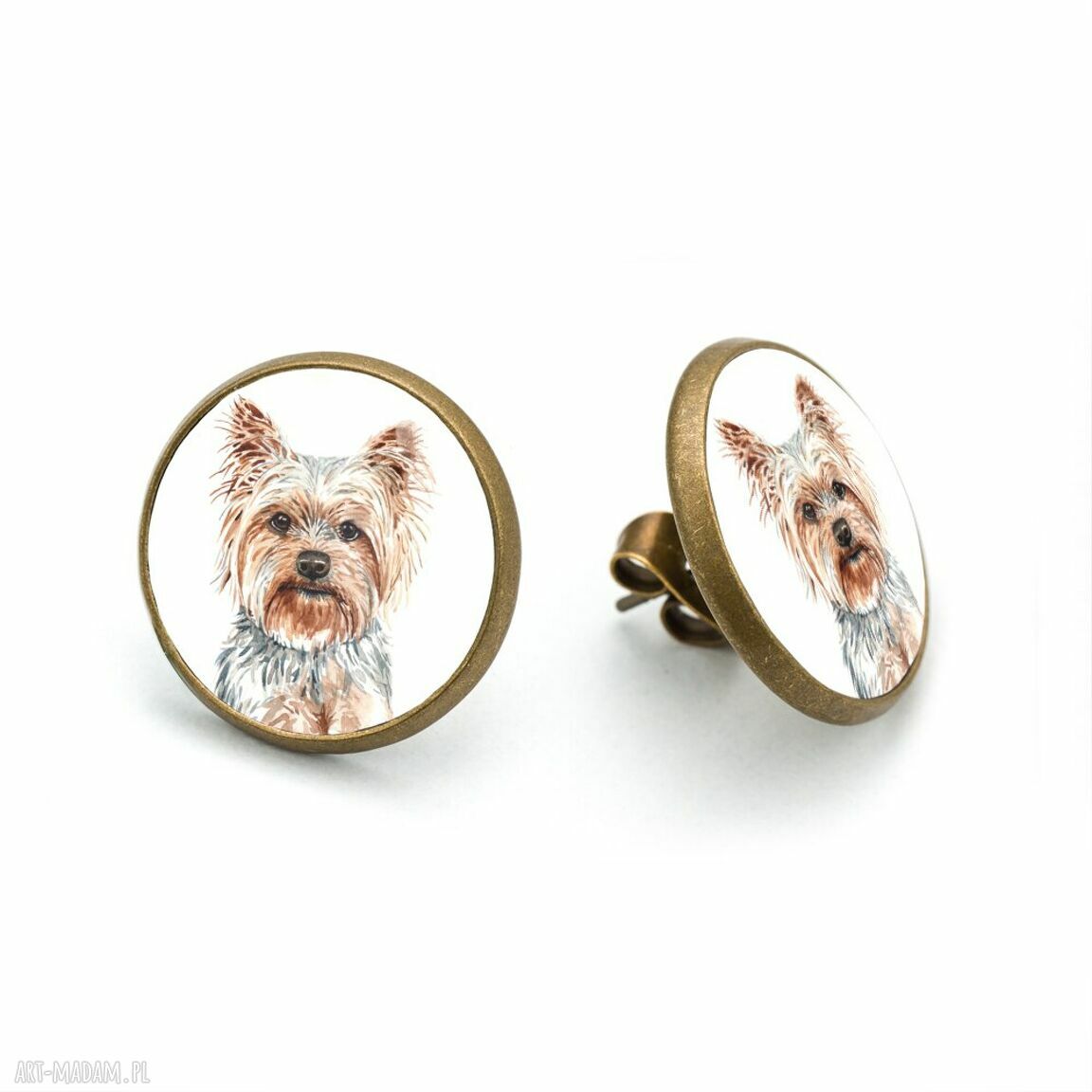 Kolczyki sztyfty z grafiką Yorkshire Terrier - antyalergiczne pod szkłem