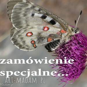 artimum zamówienie specjalne