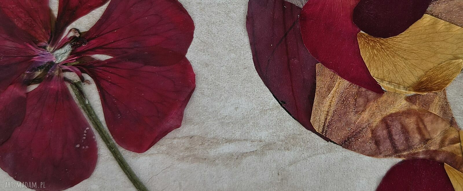 Koliber - obraz z prawdziwych suszonych kwiatów 21x30 cm