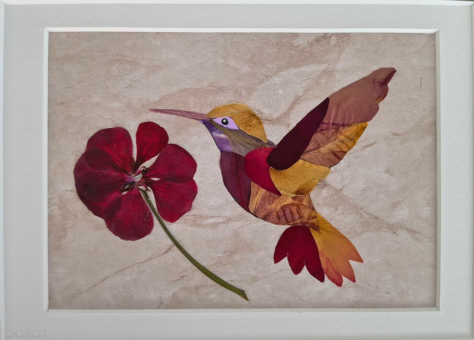 Koliber - obraz z prawdziwych suszonych kwiatów 21x30 cm