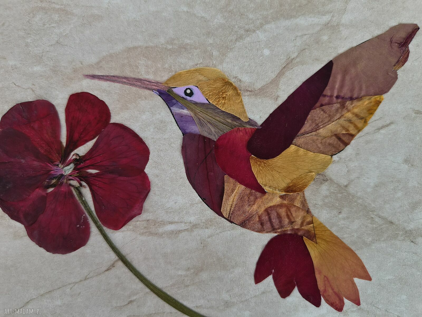 Koliber - obraz z prawdziwych suszonych kwiatów 21x30 cm