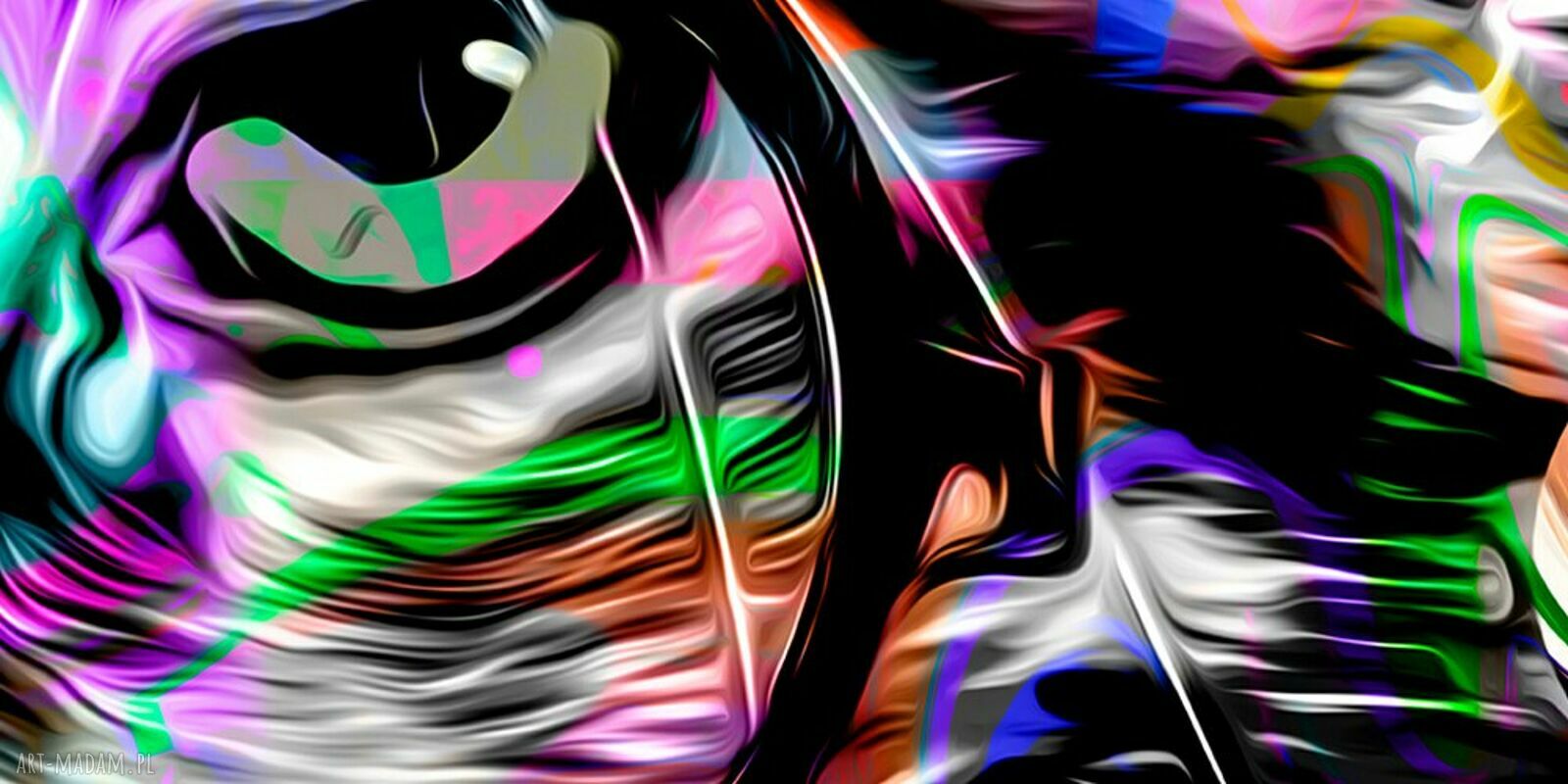 Obraz kolorowy KOT 10 w okularach 120x80 - nowoczesny pop art XXL