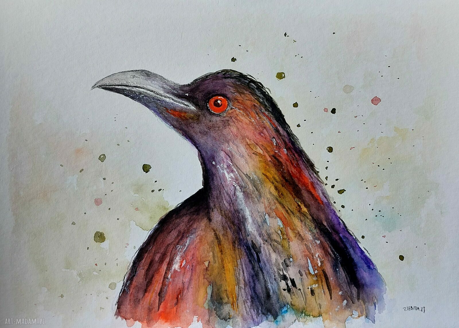 Kolorowy ptak - akwarela 24x32 cm