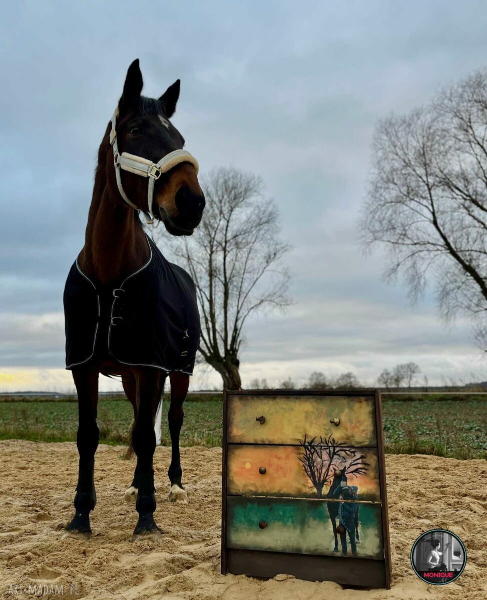 Komoda hand made z personalizacją zdjęciem - pasja, twarz i prezent