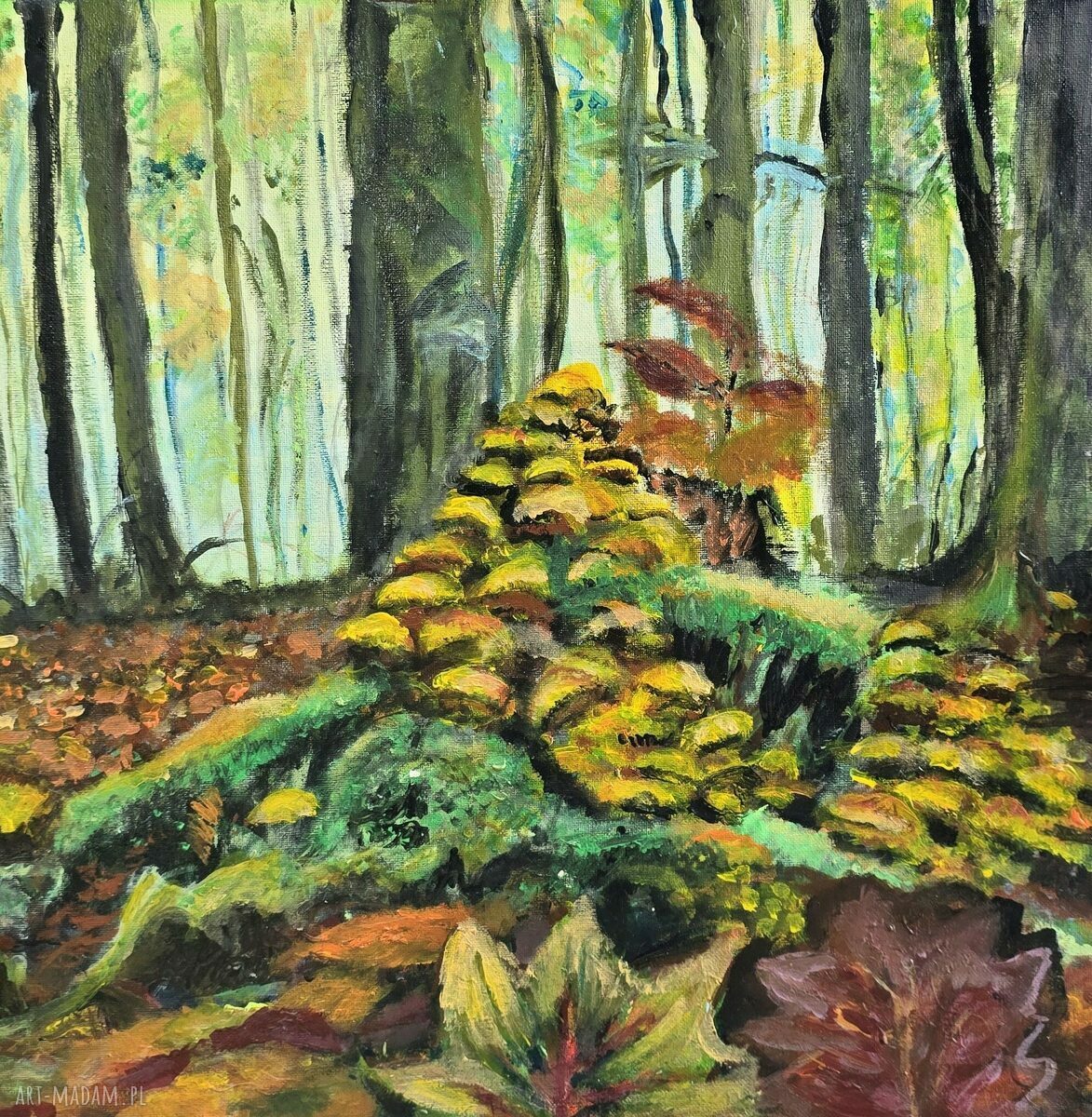 Leśna kompozycja huba - obraz akrylowy na płótnie 50x50 cm