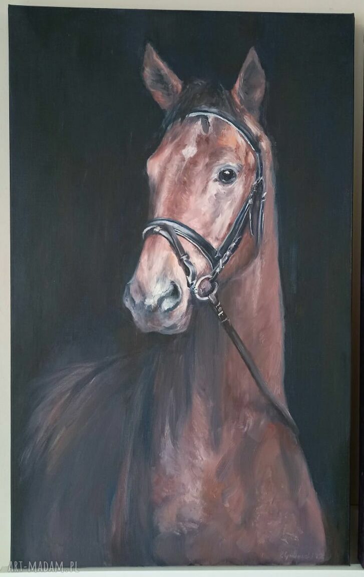 Koń - obraz olejny na płótnie 70x43 cm