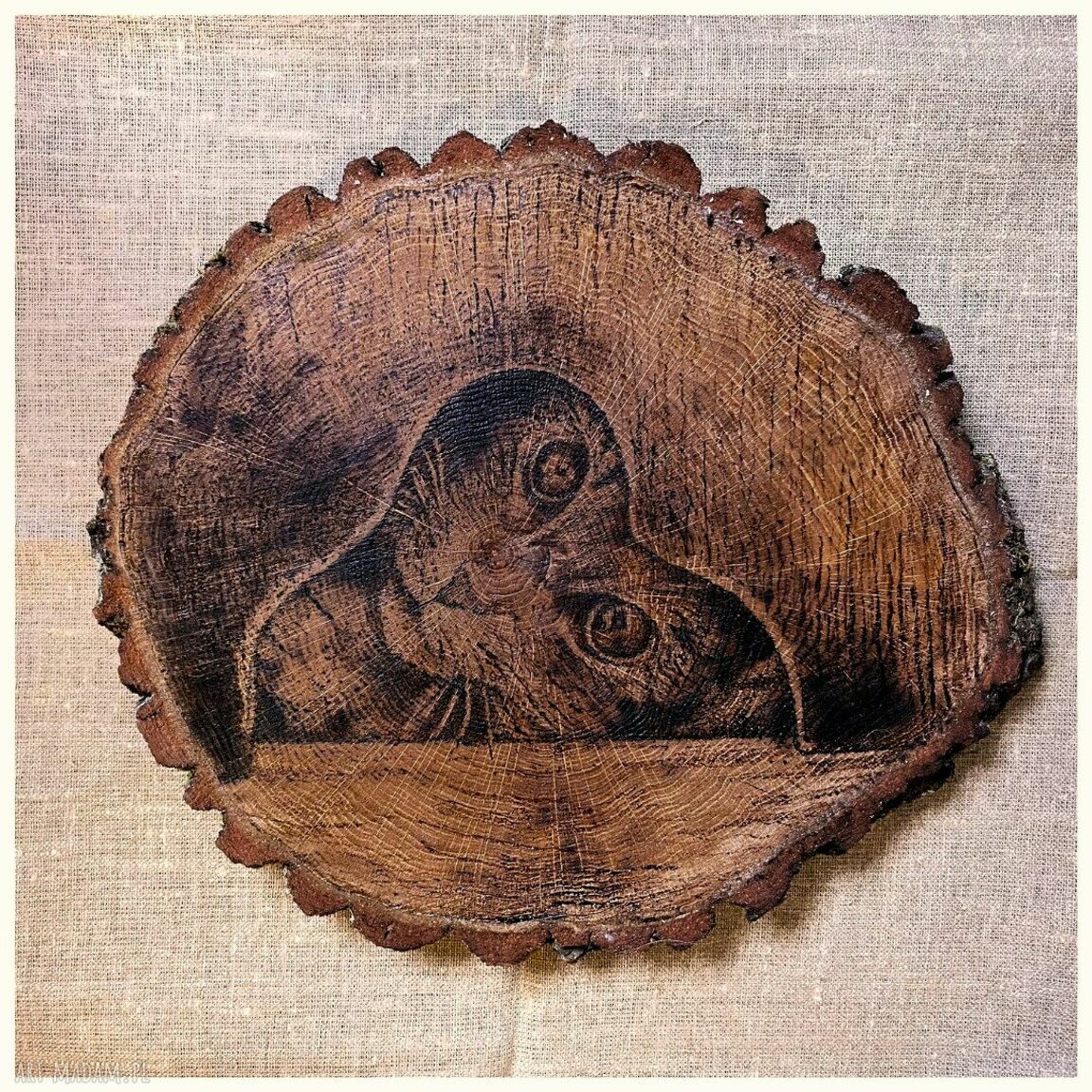 Kot - ręcznie wypalany obraz z pirografii 34x31 cm z drewna brzozowego