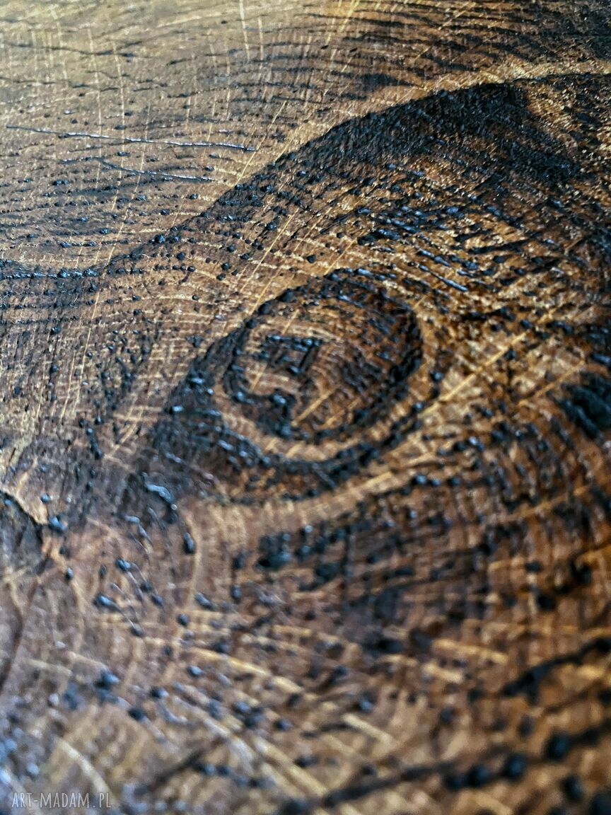 Kot - ręcznie wypalany obraz z pirografii 34x31 cm z drewna brzozowego