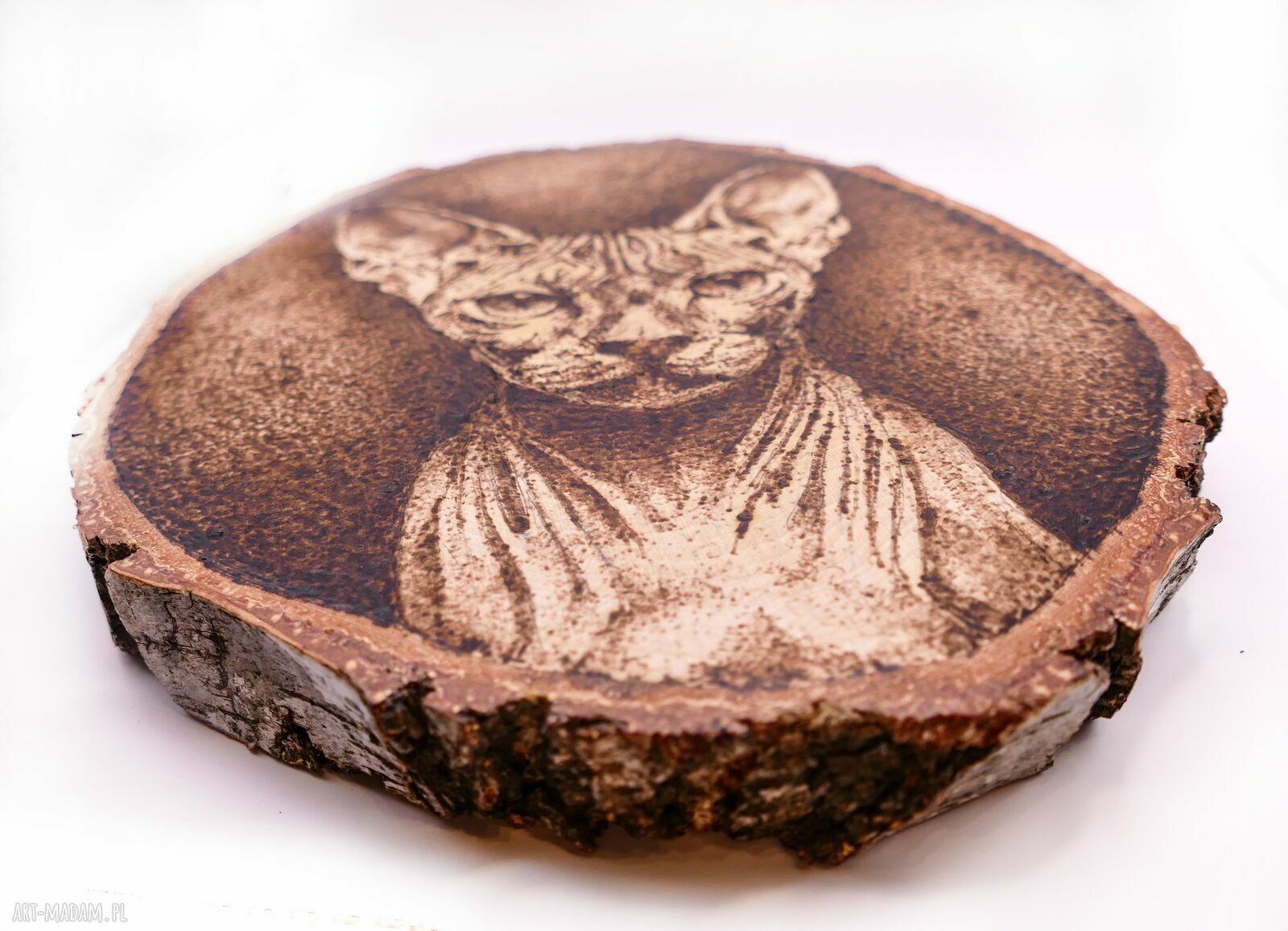 Kot Sfinks - pirografia na brzozie 17x21 cm, ręcznie wypalany obraz dla kociarzy