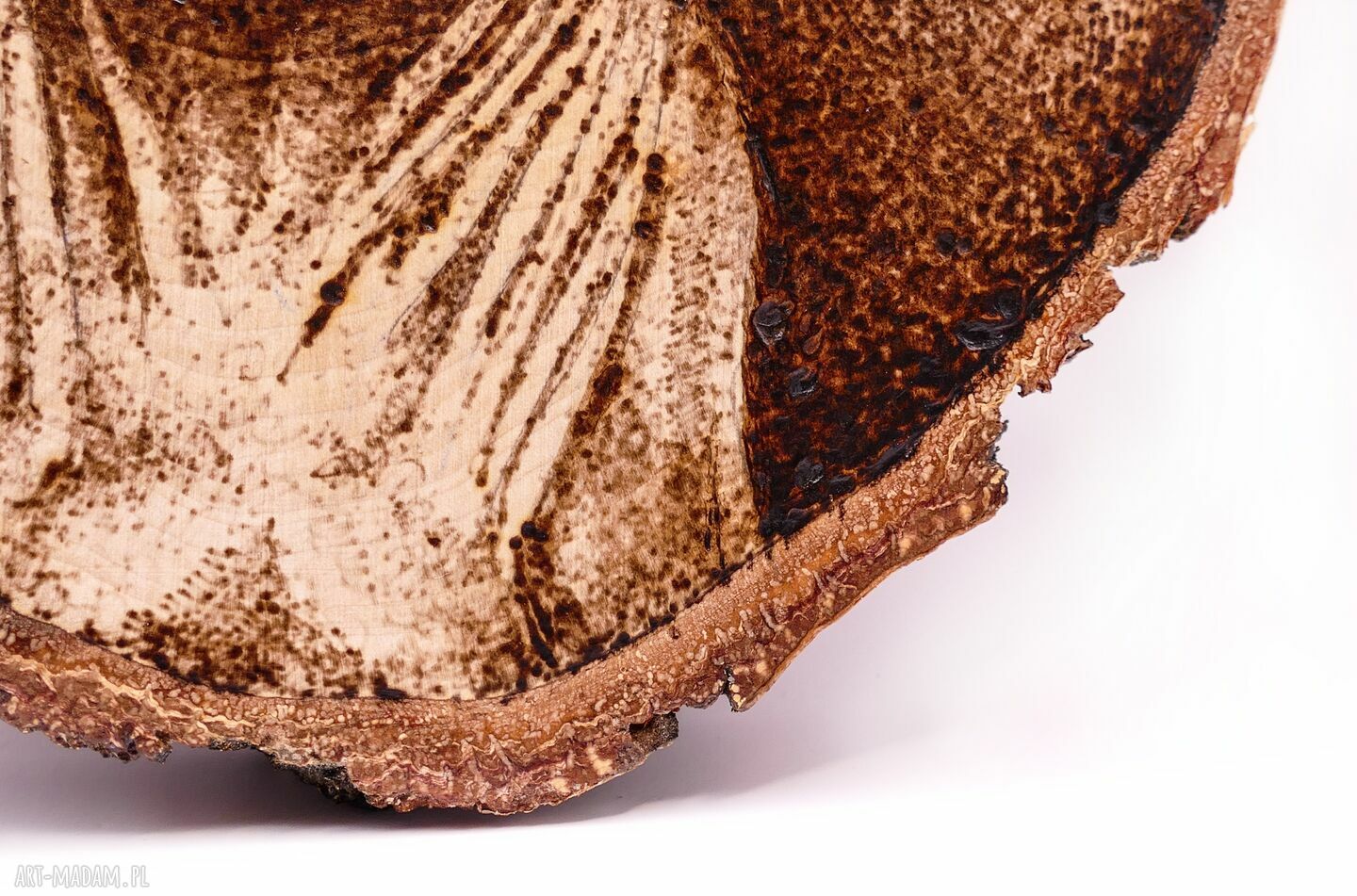 Kot Sfinks - pirografia na brzozie 17x21 cm, ręcznie wypalany obraz dla kociarzy