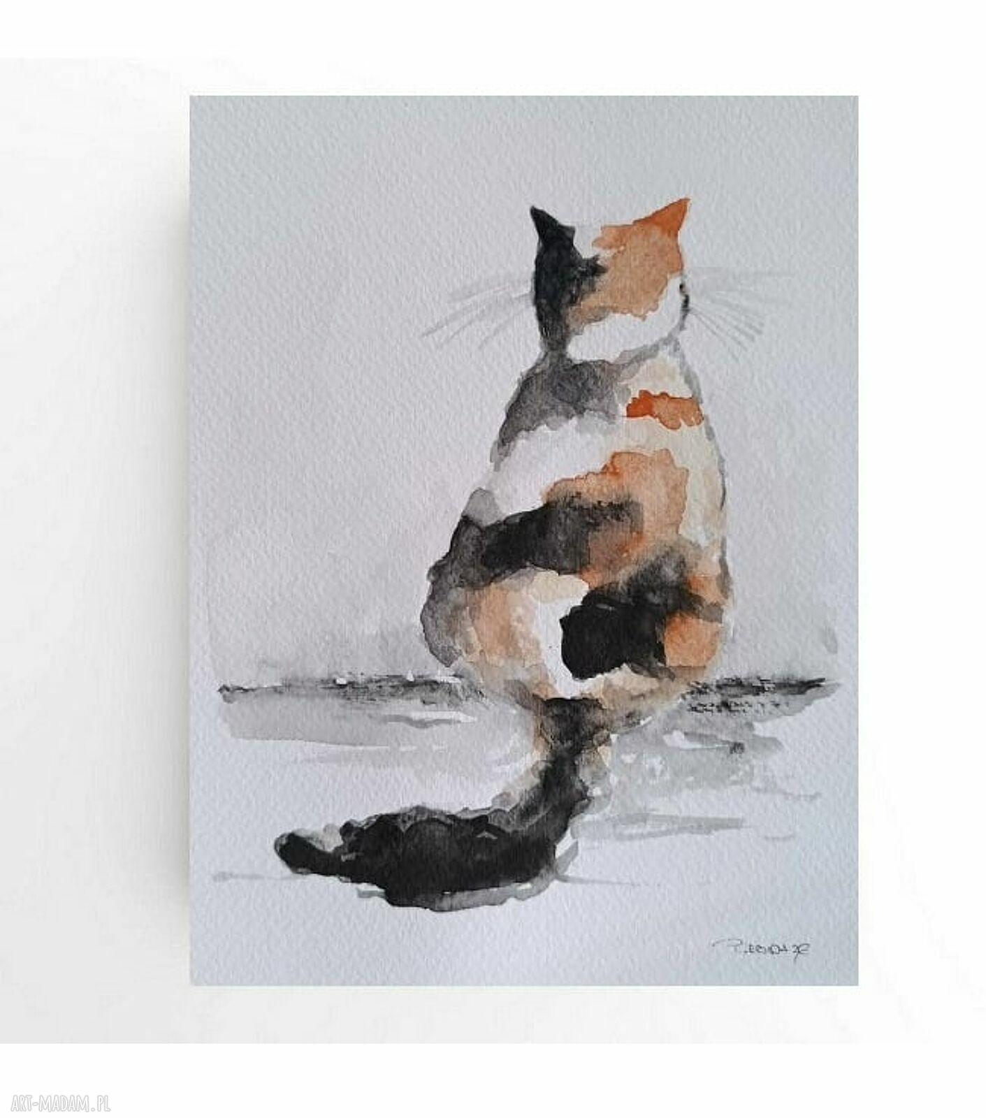 Oryginalna akwarela z kotkiem 24 x 18 cm
