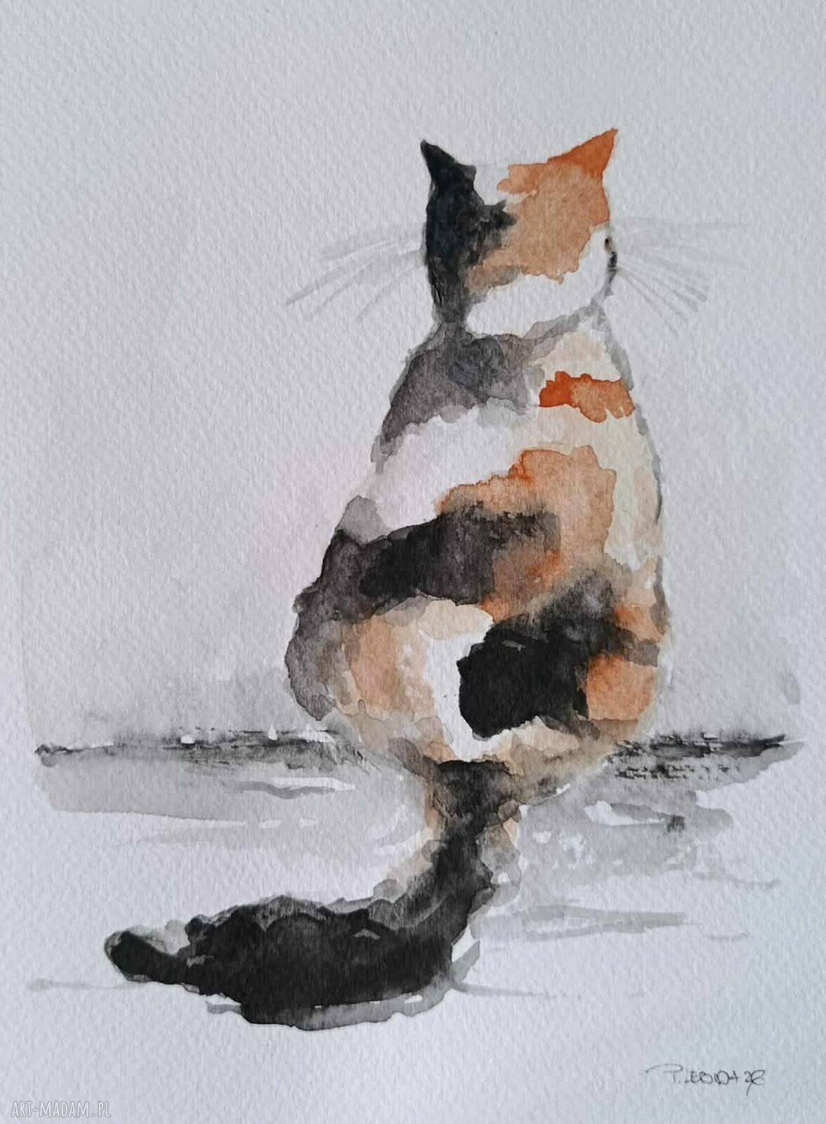 Oryginalna akwarela z kotkiem 24 x 18 cm