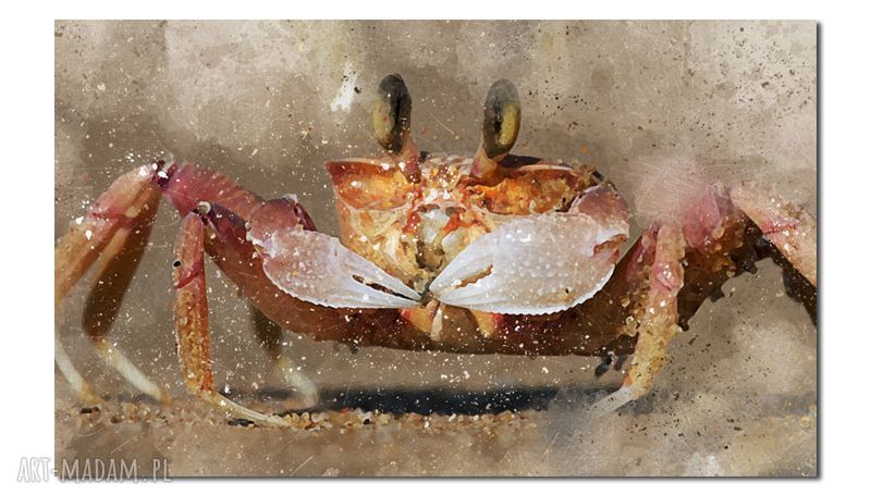 Obraz KRAB 1 120x70 cm na płótnie modern - gotowy do powieszenia