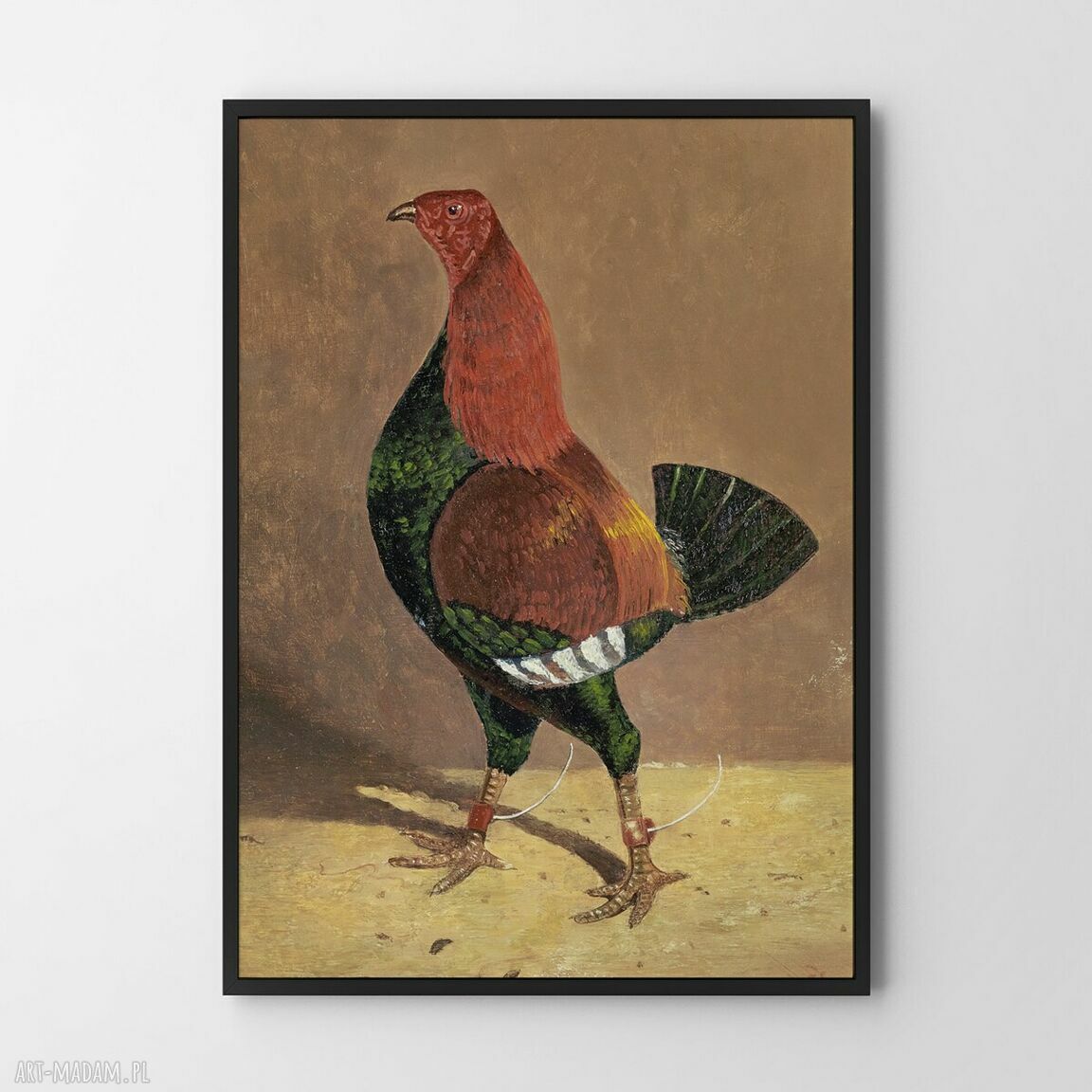 Plakat Kura 40x50 cm do kuchni - przytulny akcent w Twoim domu