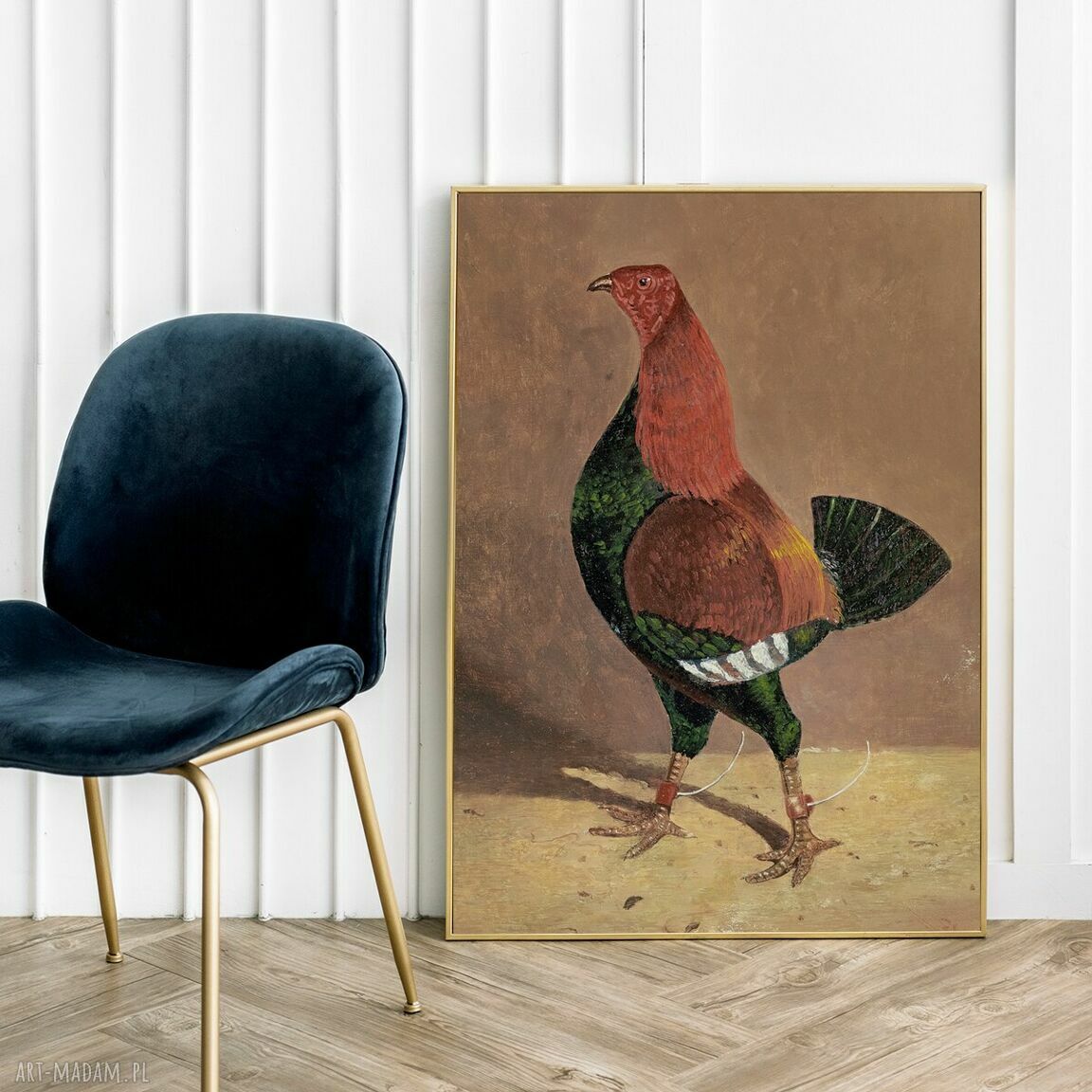 Plakat Kura w stylu vintage 30x40 cm