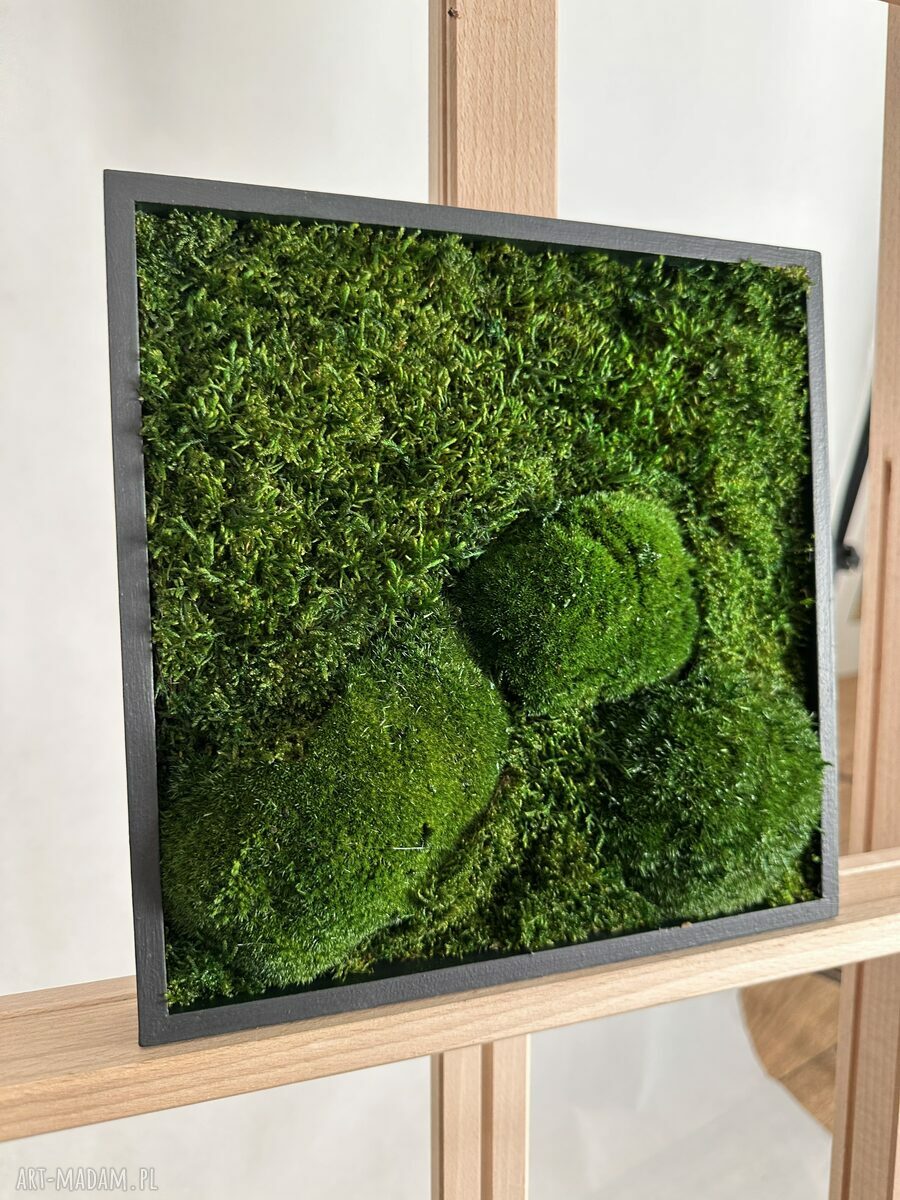 Mech Kwadrat - obraz z mchu stabilizowanego 25x25 cm w czarnej ramce
