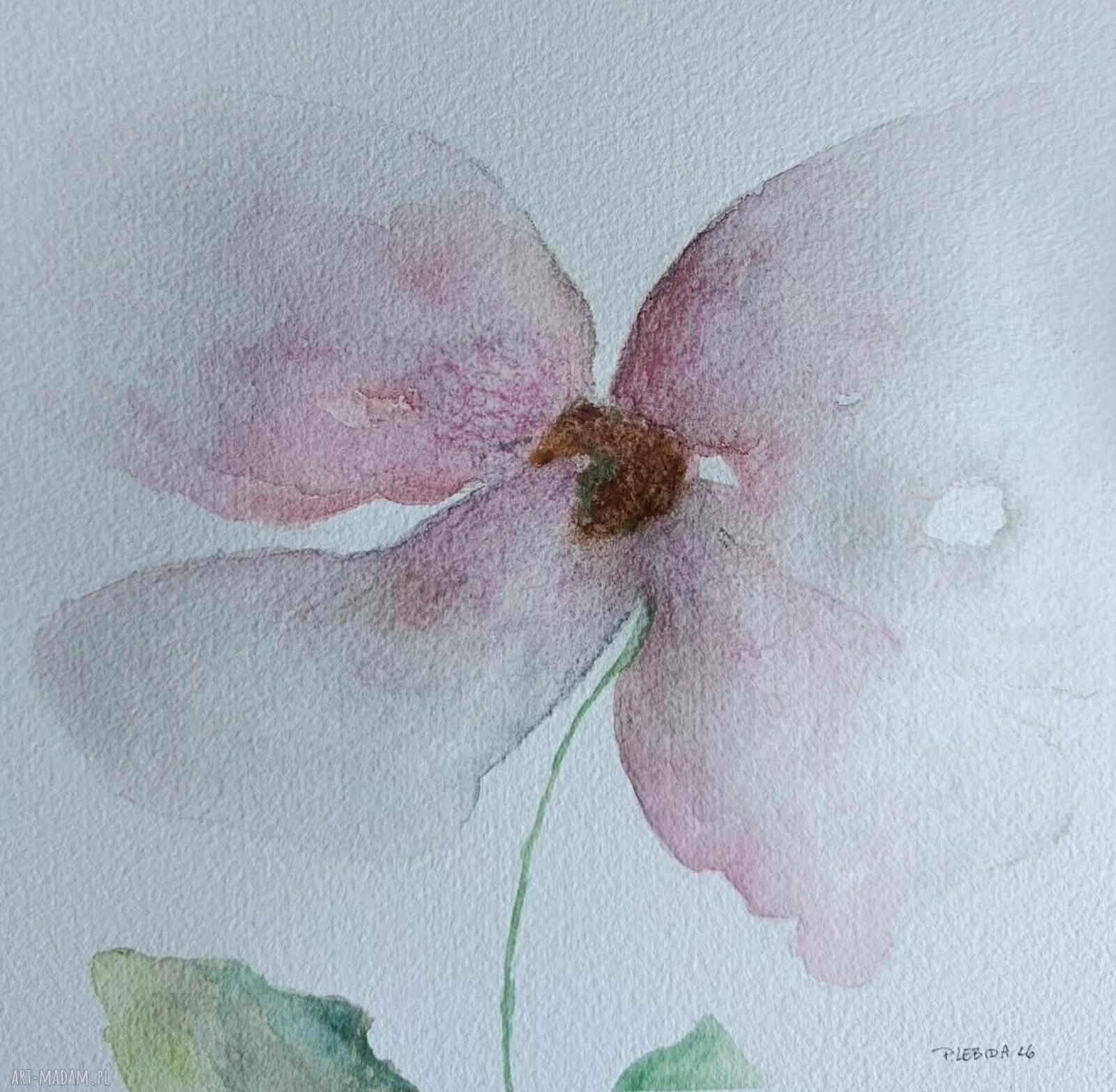 Akwarela „Kwiatek 2” 20x20 cm - kwiat do Twojego wnętrza