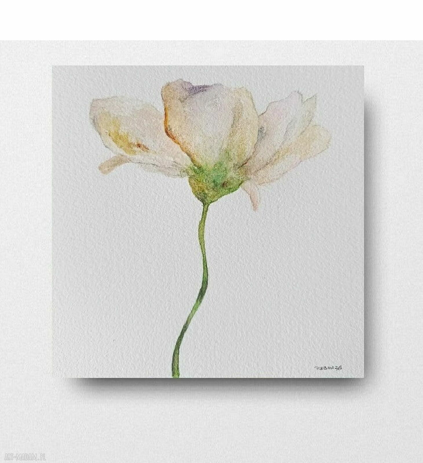 Kwiat - oryginalna akwarela 20x20 cm