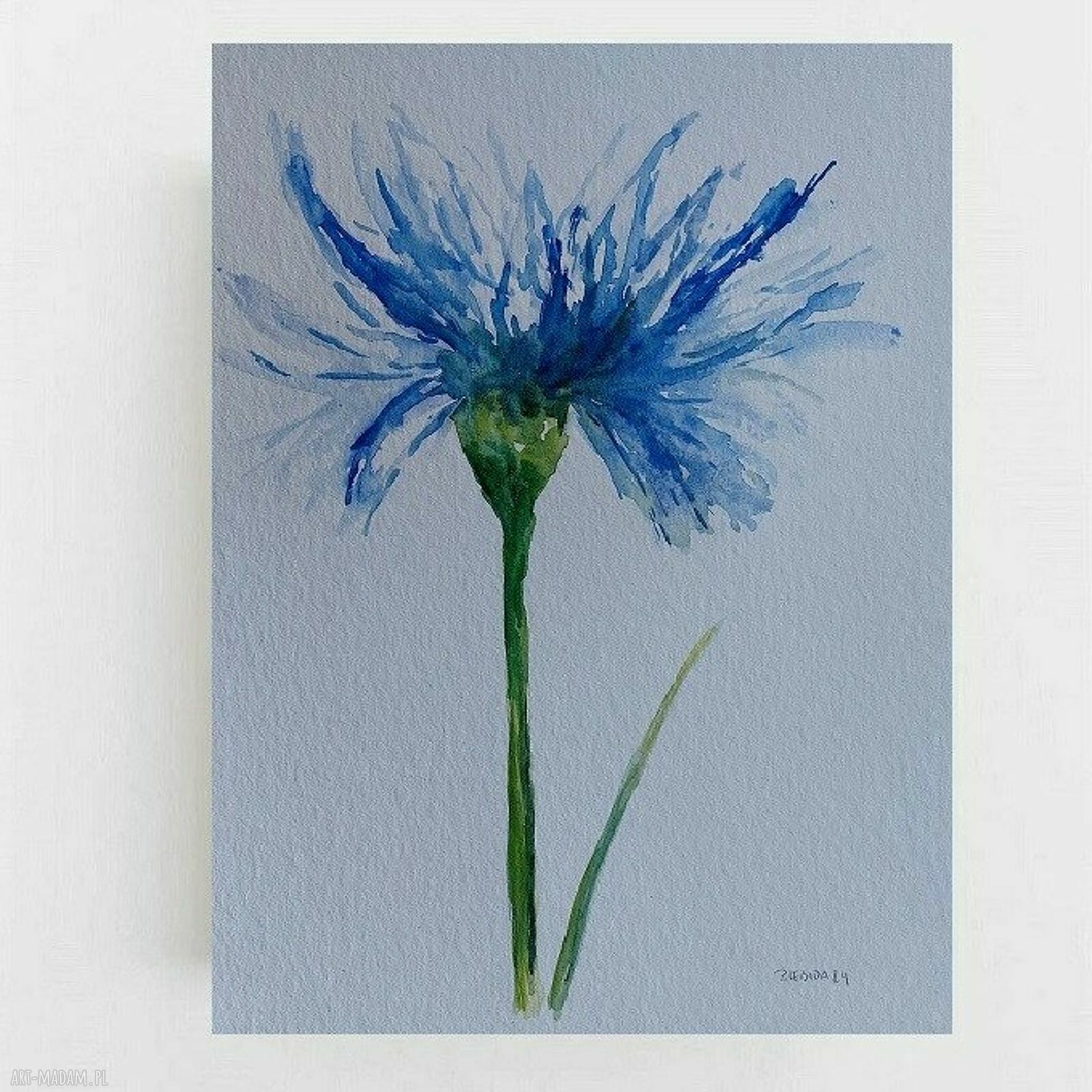 Kwiat - akwarela 32x24 cm autorstwa Pauliny Lebidy