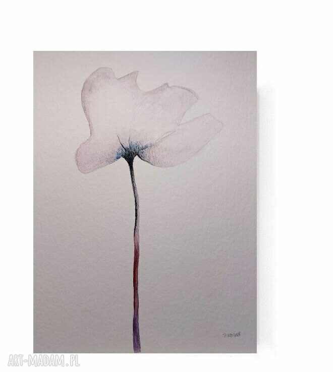 Kwiatek - sygnowana akwarela 32 x 24 cm na grubym papierze 425 g/m2