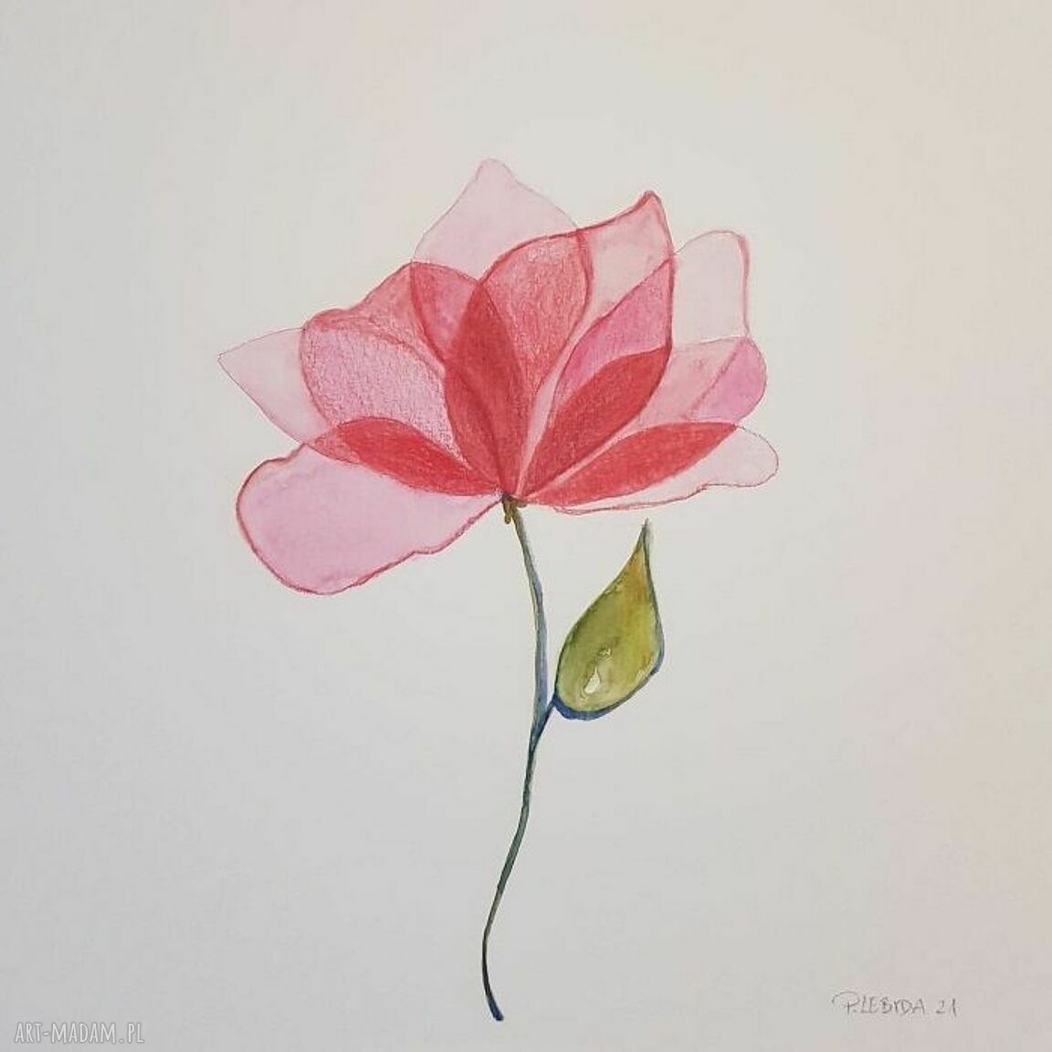 KWIATEK - akwarela 25 x 25 cm (Paulina Lebida)