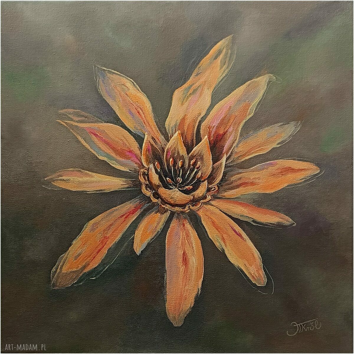 Kwiatowa forma: zestaw 2 obrazów 40x40 cm