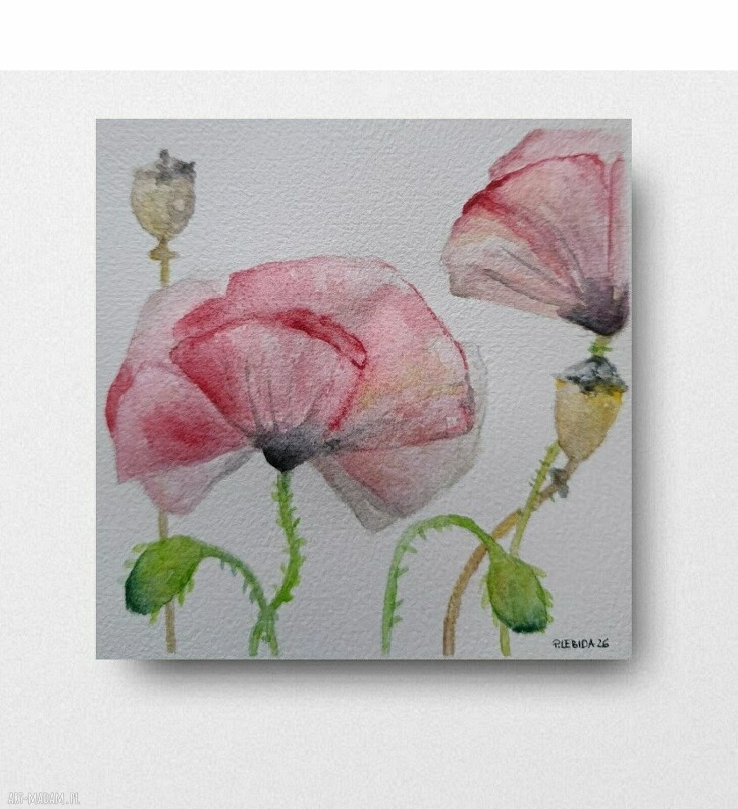 Kwiaty - akwarela 15x15 cm Paulina Lebida sygnowana, bez ramy