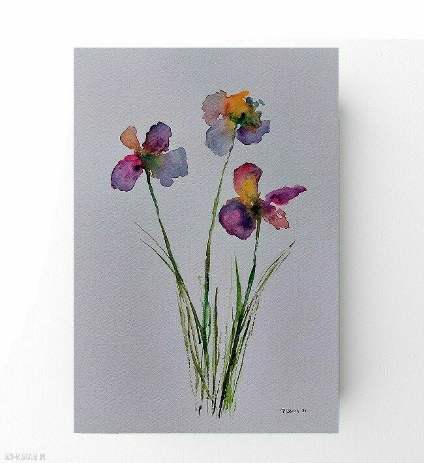 Kwiaty - akwarela A4 sygnowana Paulina Lebida
