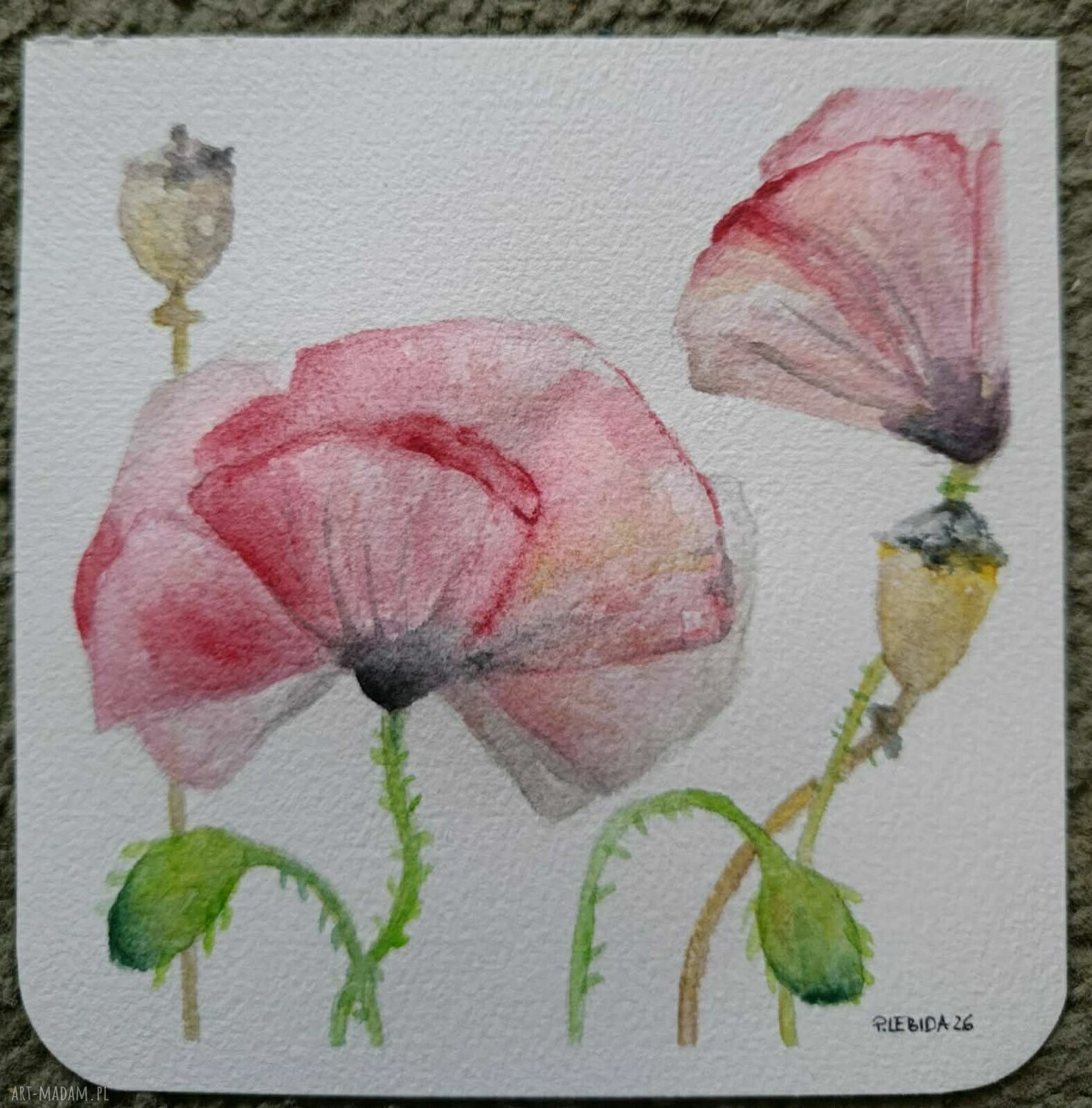 Kwiaty - akwarela 15x15 cm Paulina Lebida (sygnowana, bez ramy)