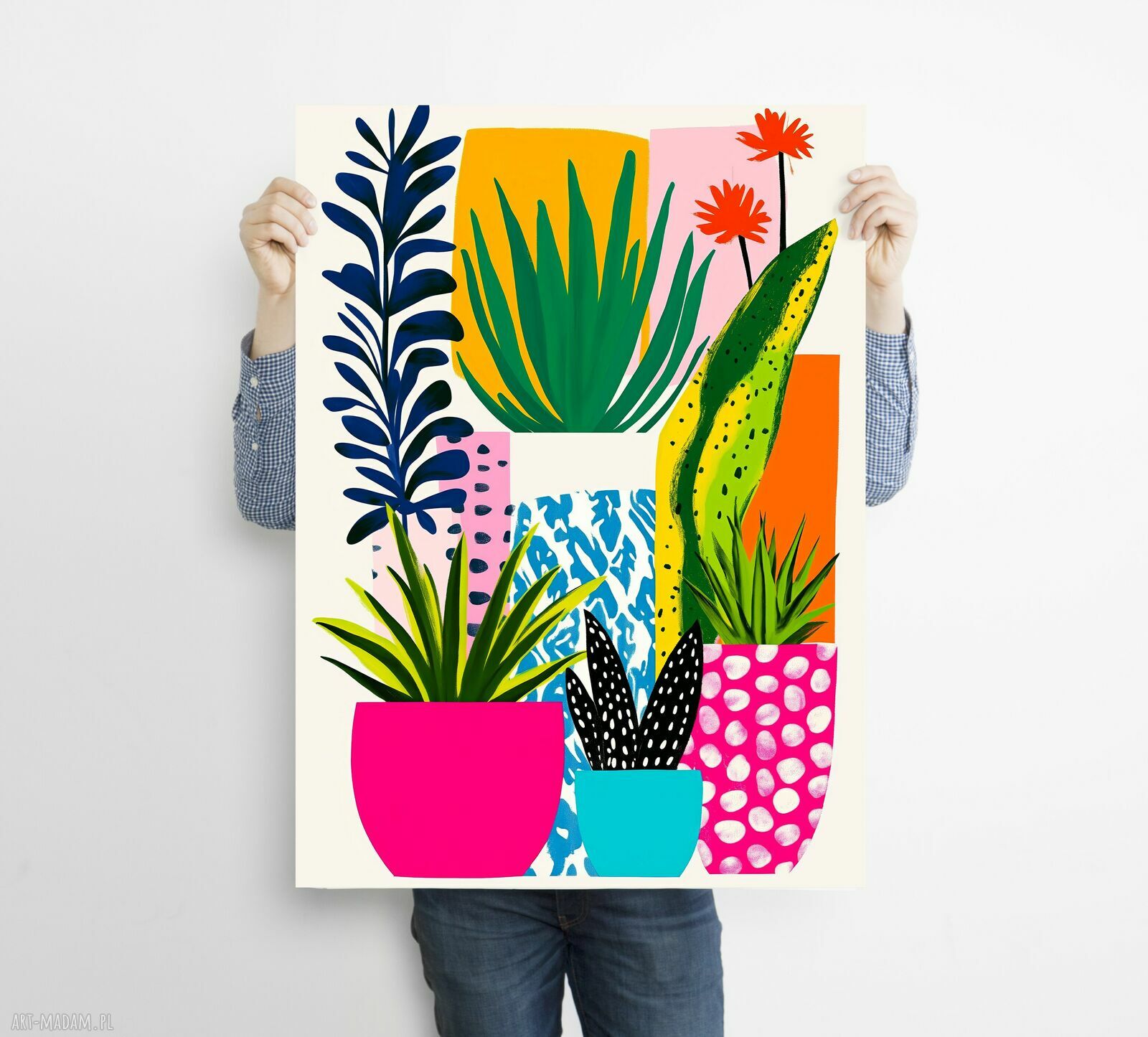 Kwiaty doniczkowe - grafika na plakat A3