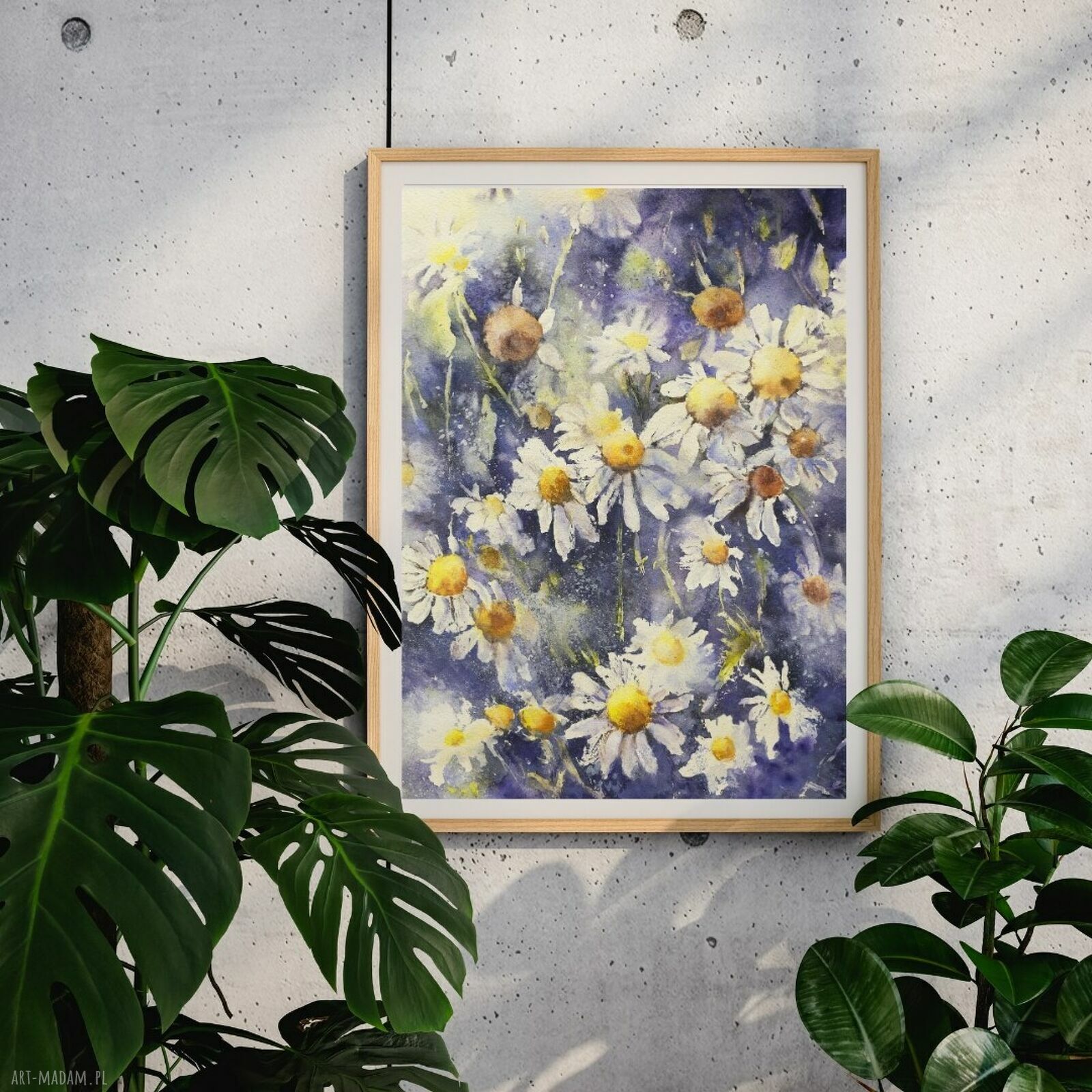 Kwiaty polne i rumianki - plakat akwarelowy 50x70 cm