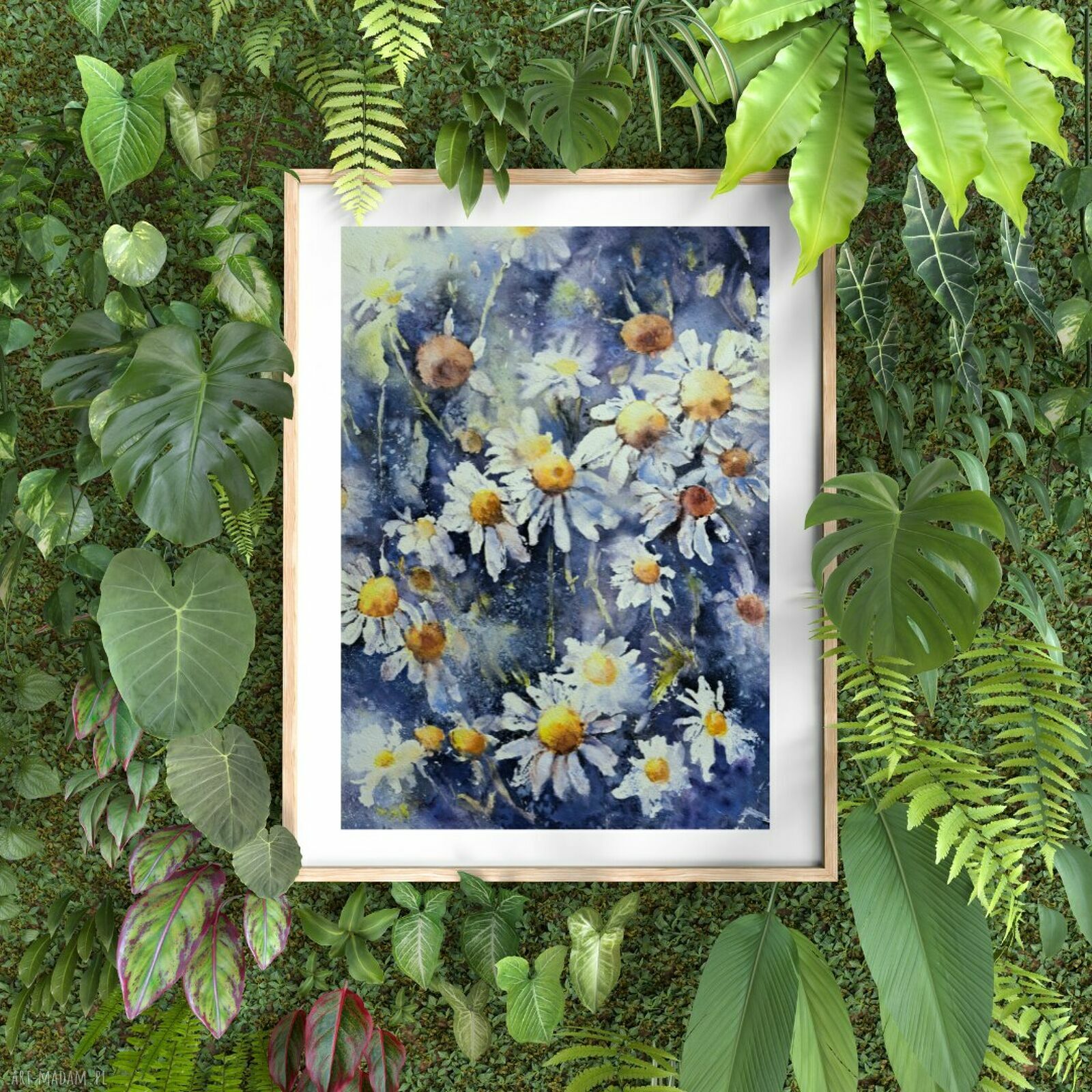 Oryginalna akwarela z rumiankami - kwiaty polne 26x36 cm