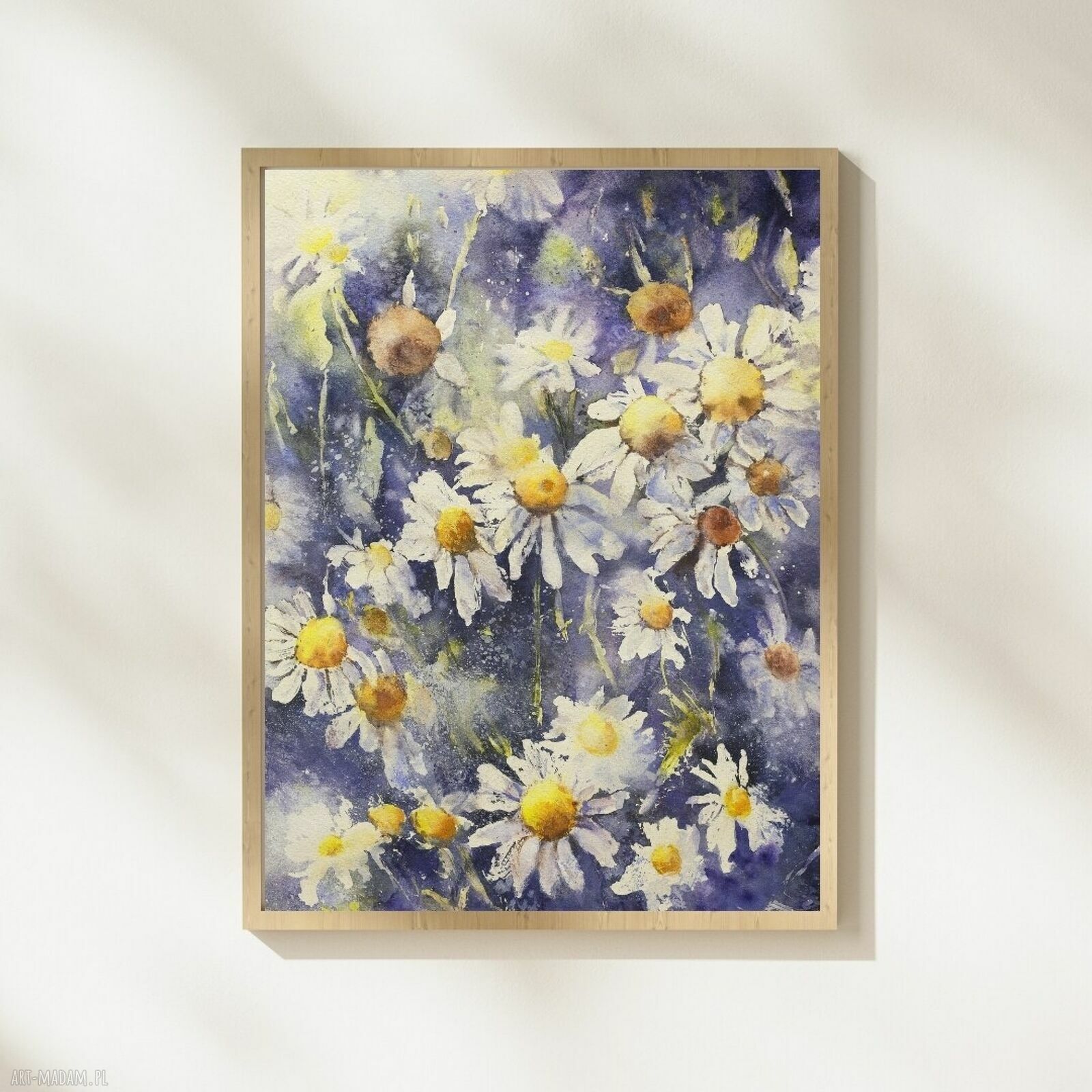 Rumianki - oryginalna akwarela z kwiatami polnymi 26x36 cm