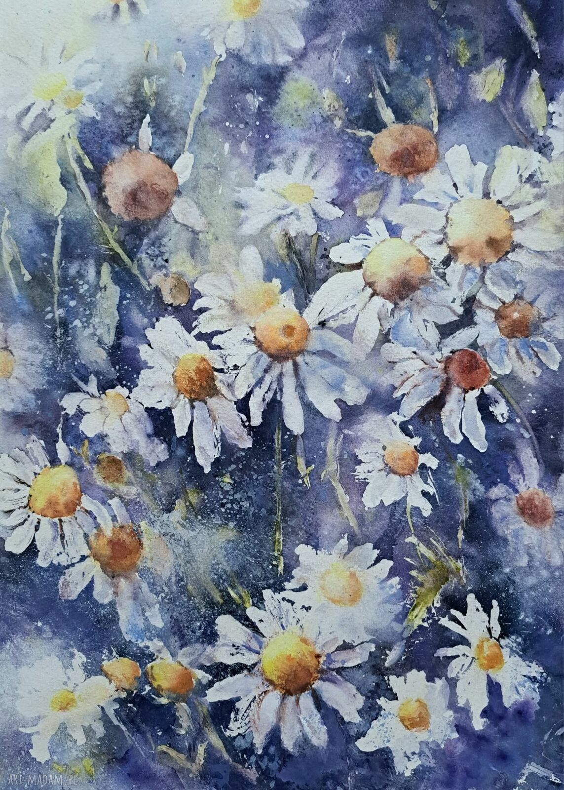 Oryginalna akwarela z rumiankami - kwiaty polne 26x36 cm