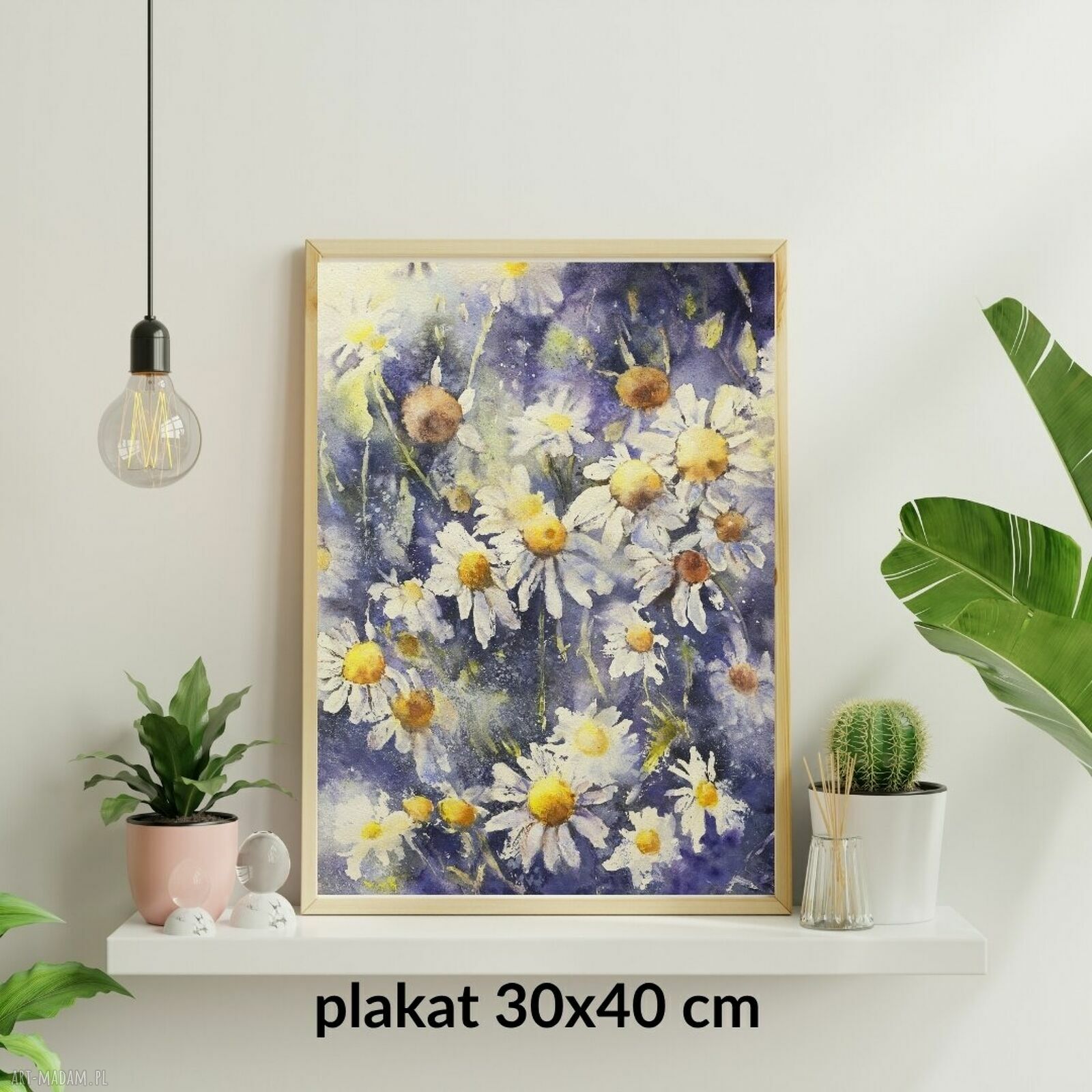 Kwiaty polne, rumianki - akwarelowy plakat 30x40 cm