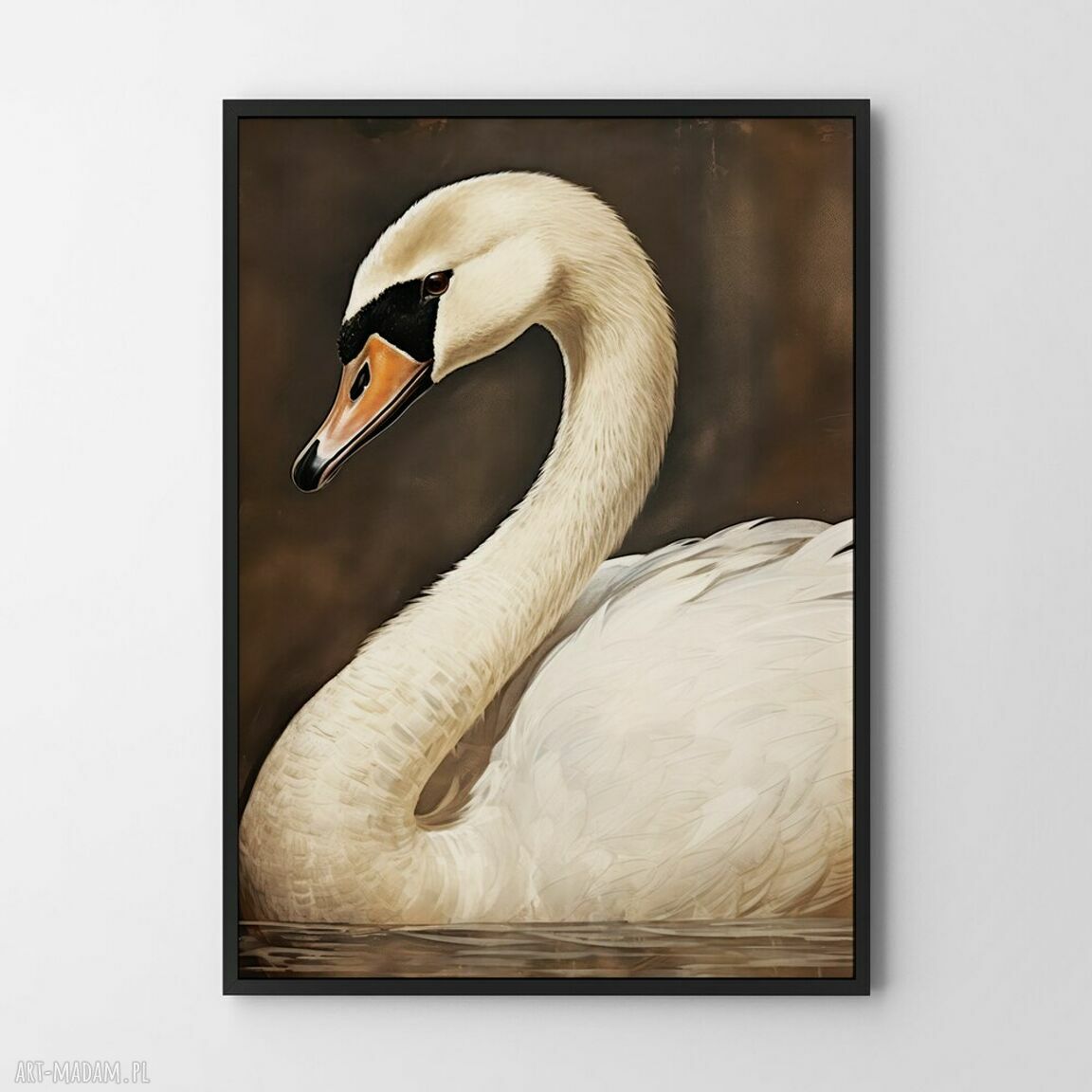 Plakat Łabędź - ptaki natura 61x91 cm