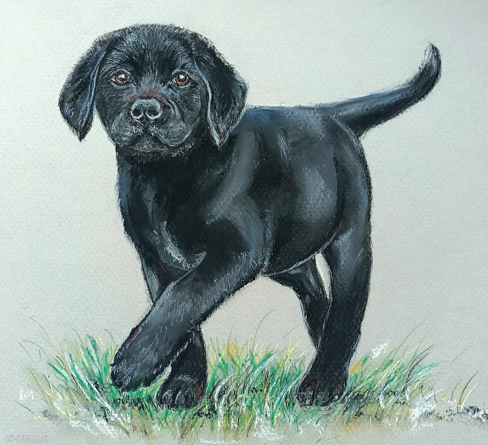 Labrador w pastelach - ręcznie wykonany obraz 24x32 cm