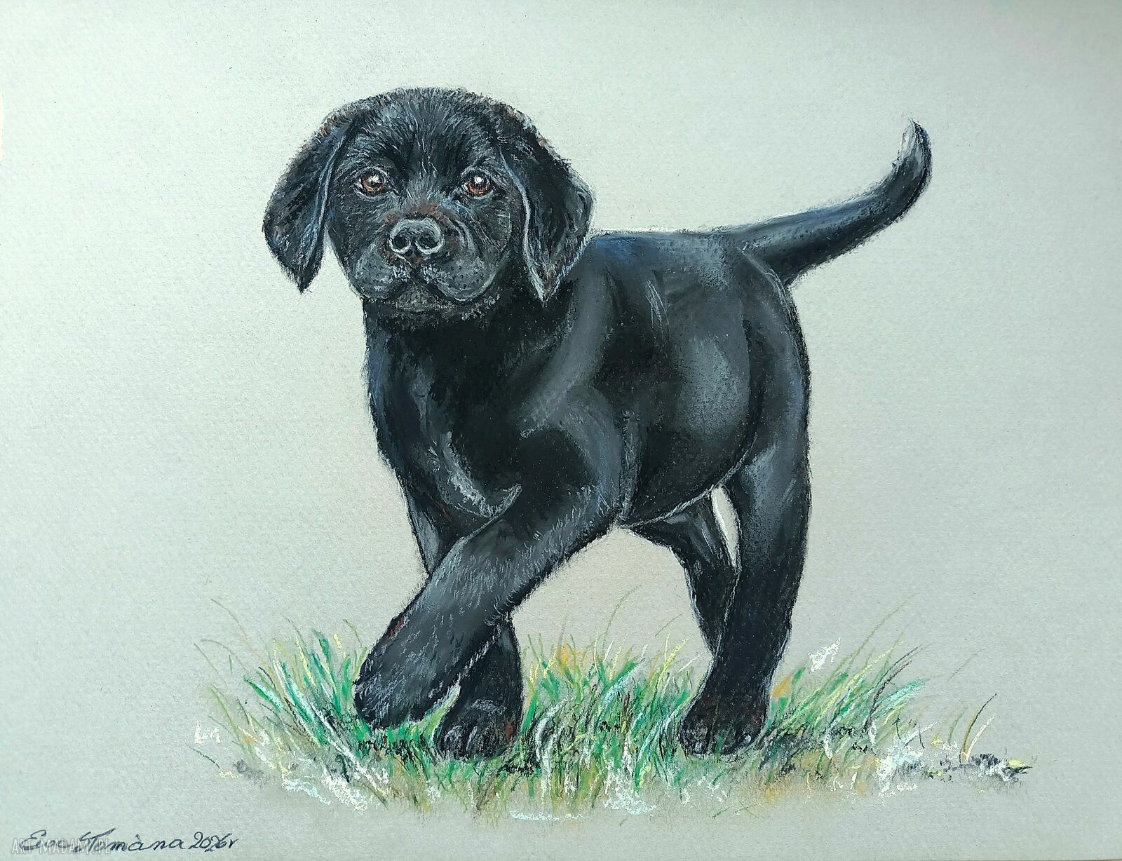 Labrador w pastelach - ręcznie wykonany obraz 24x32 cm