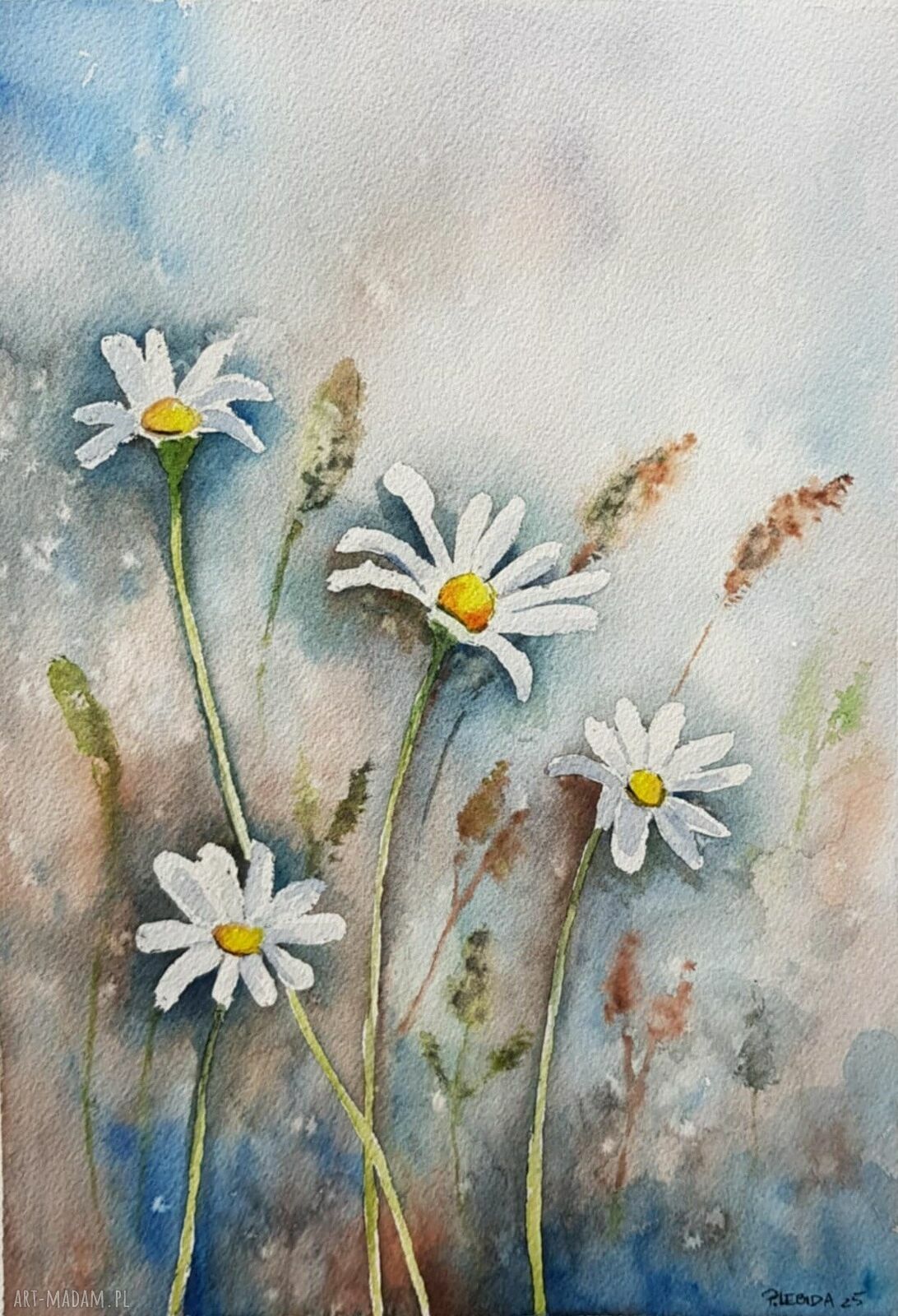 ŁĄKA - oryginalna akwarela w formacie A4