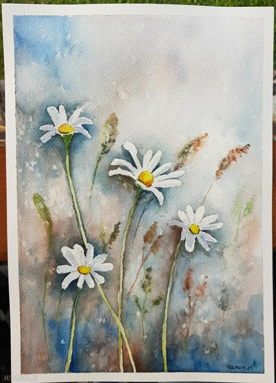 ŁĄKA - oryginalna akwarela w formacie A4
