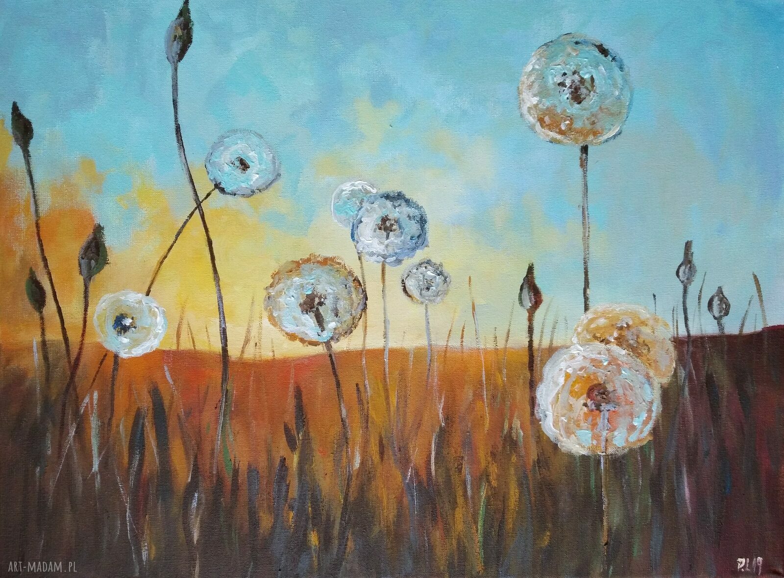 Łąka Dmuchawców - obraz akrylowy 40x30 cm
